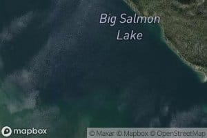 Big Salmon Lake