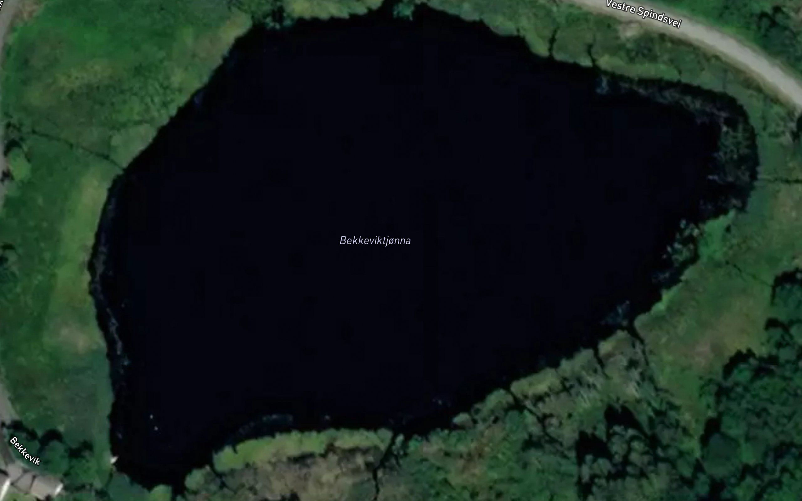 Bekkeviktjonna