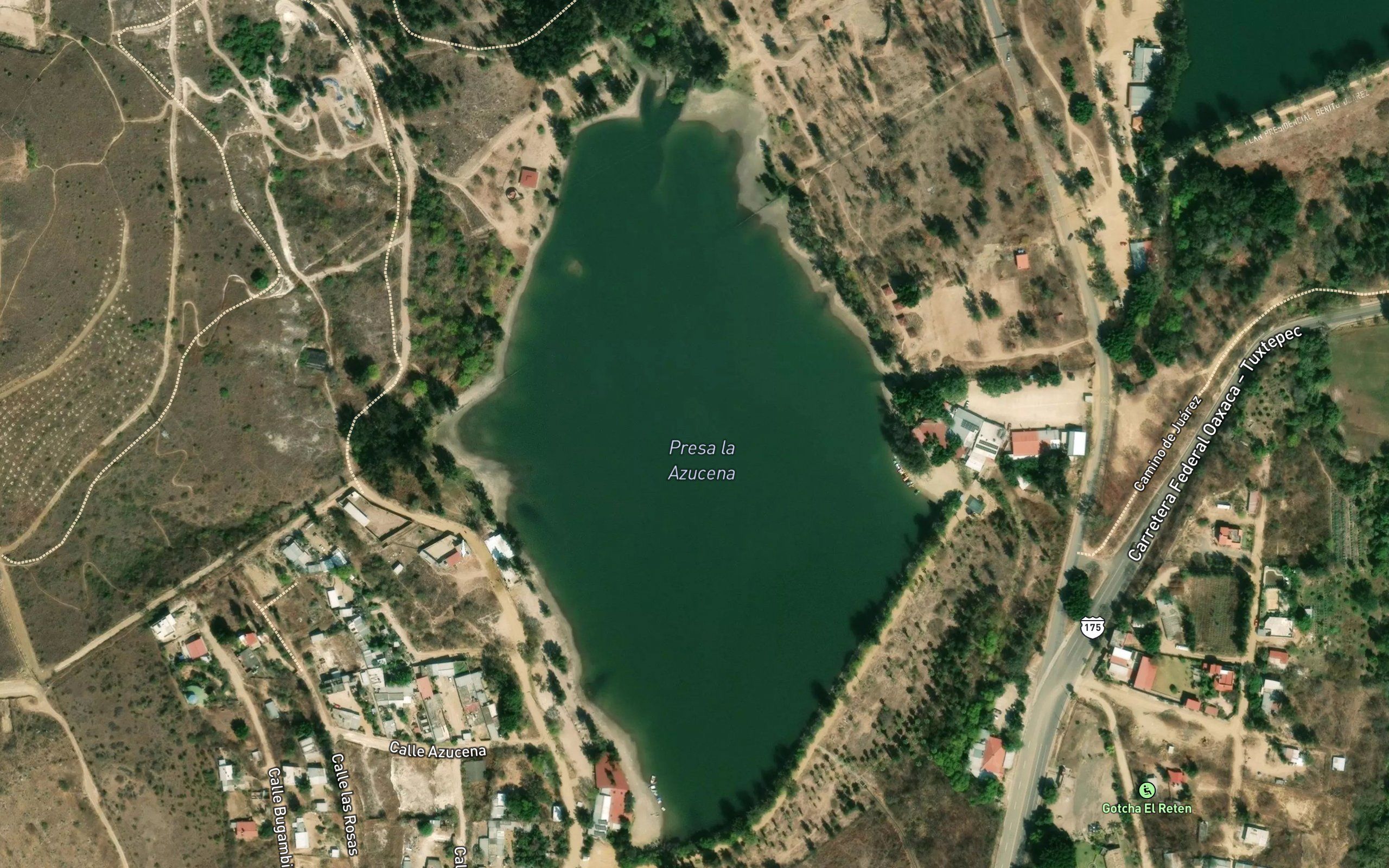 Azucena