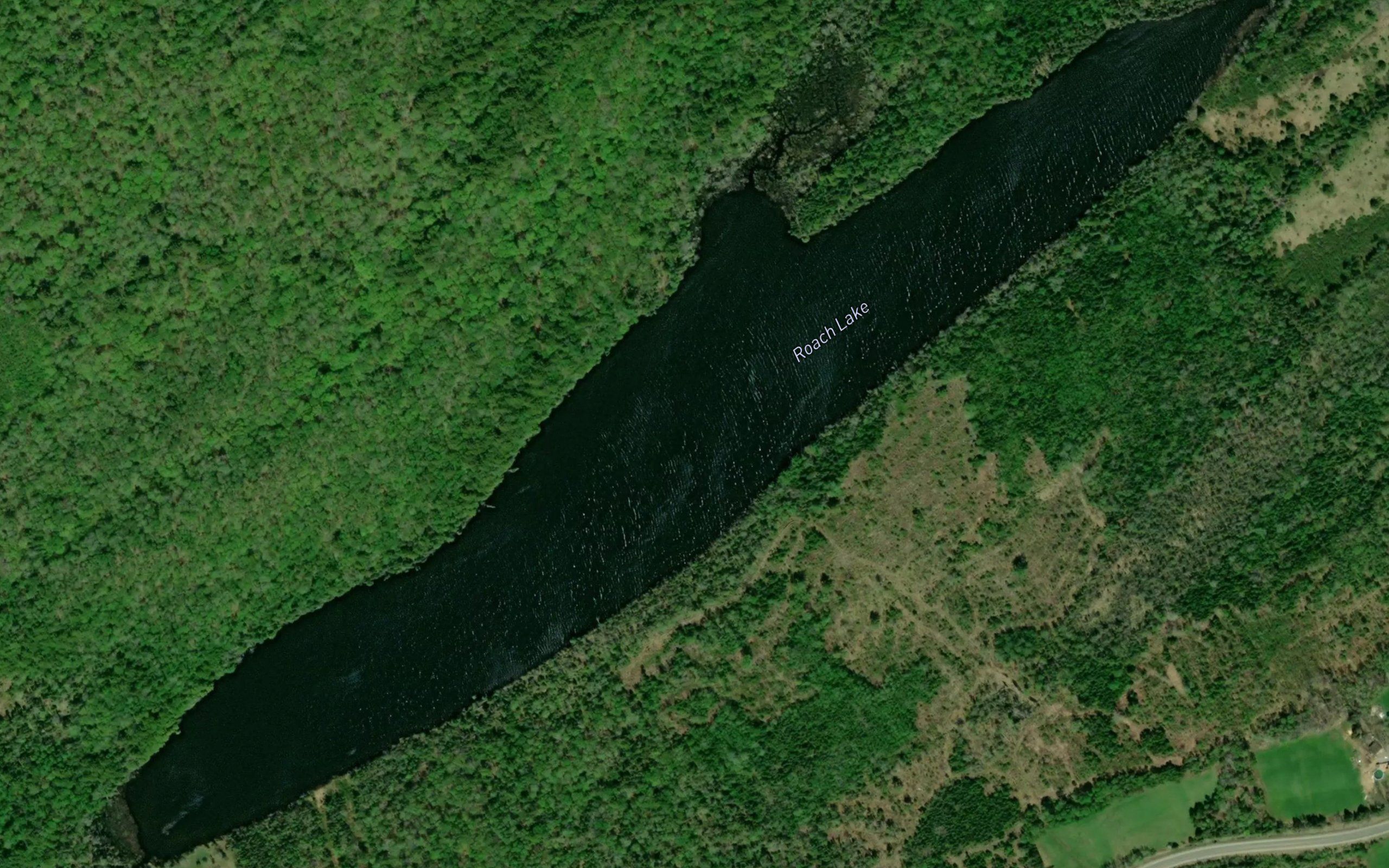 Roach Lake