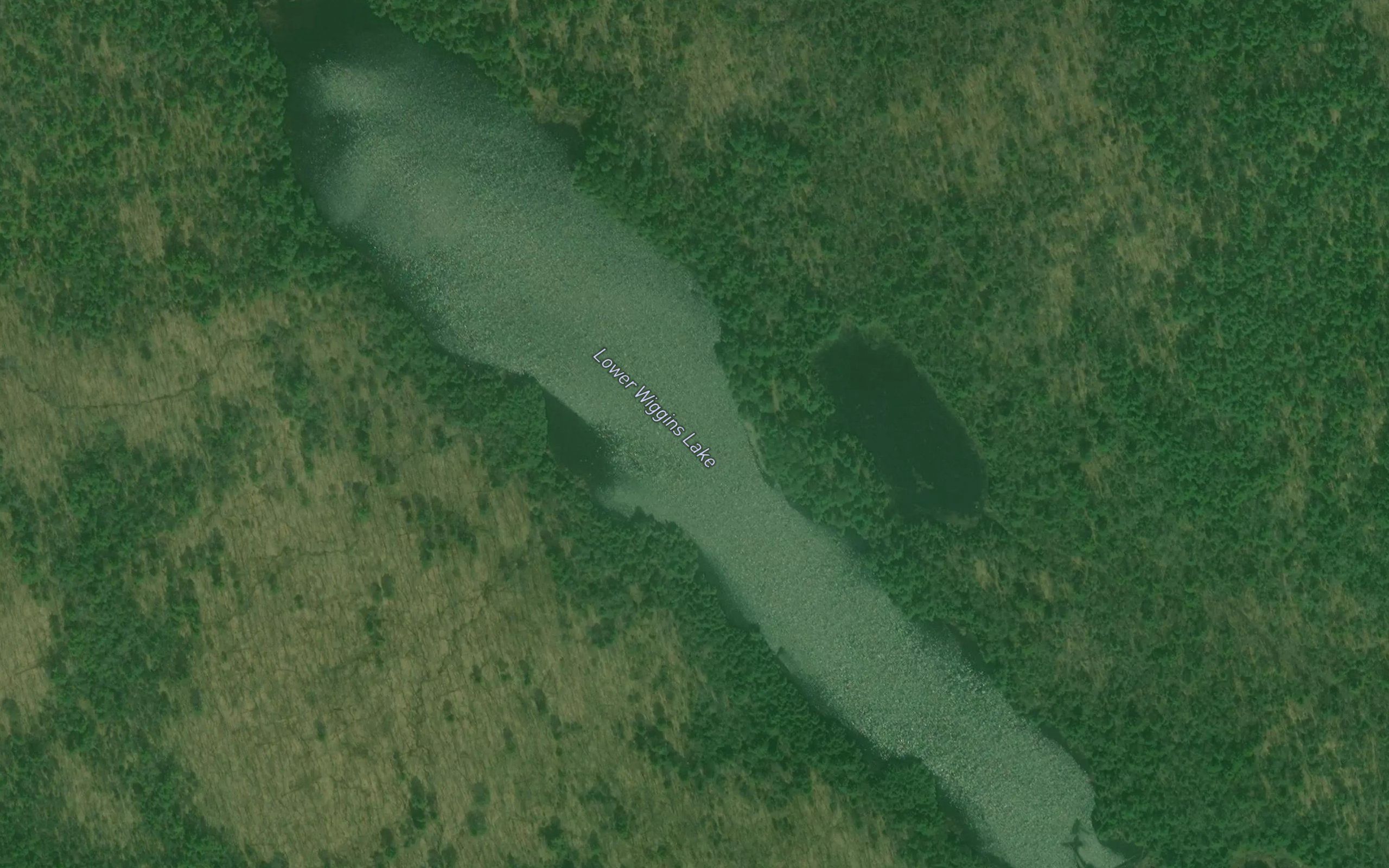 Lower Wiggins Lake