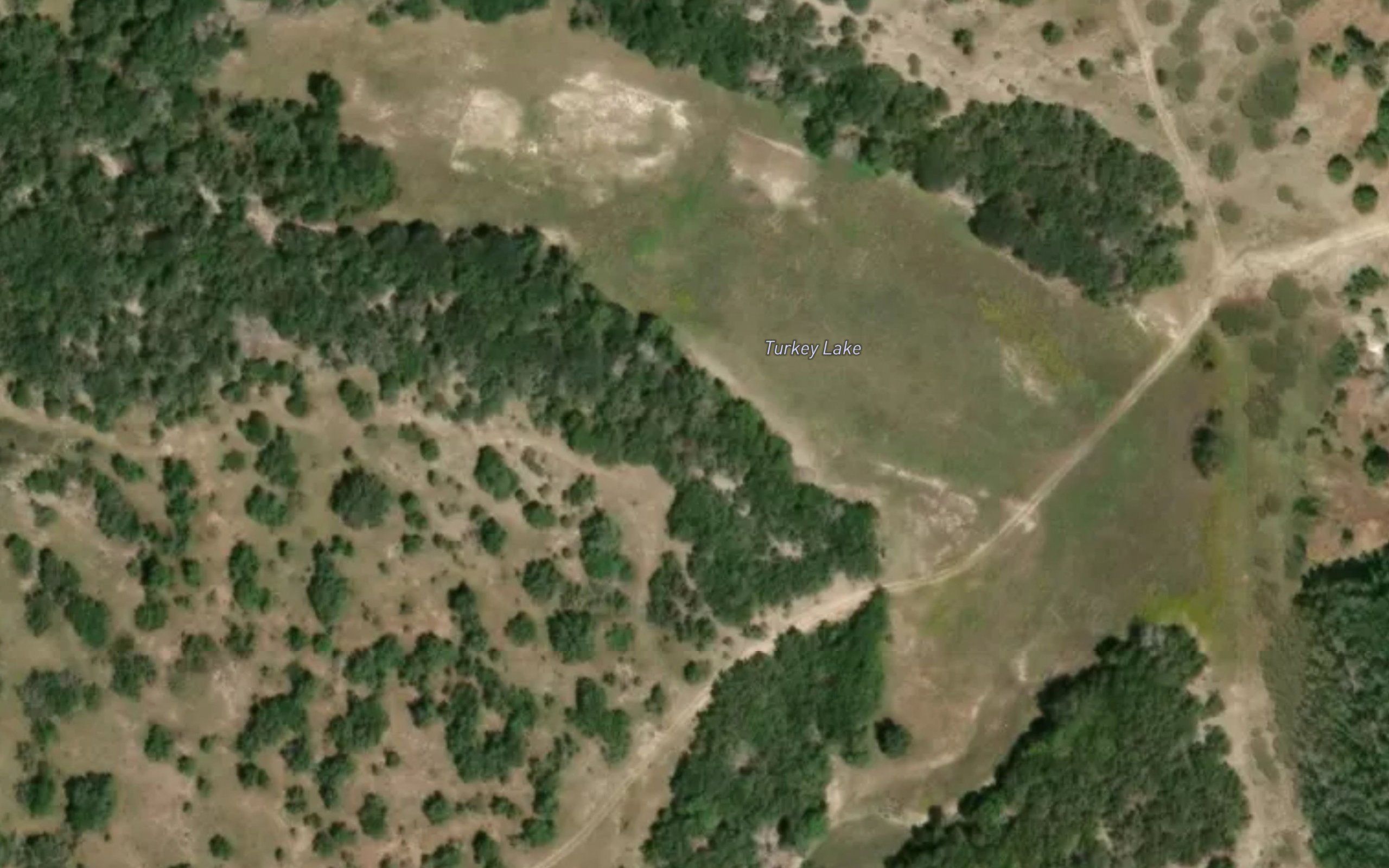 Turkey Lake