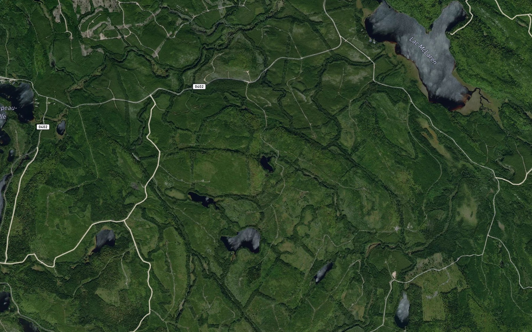 Satellite map of the Lac Savard