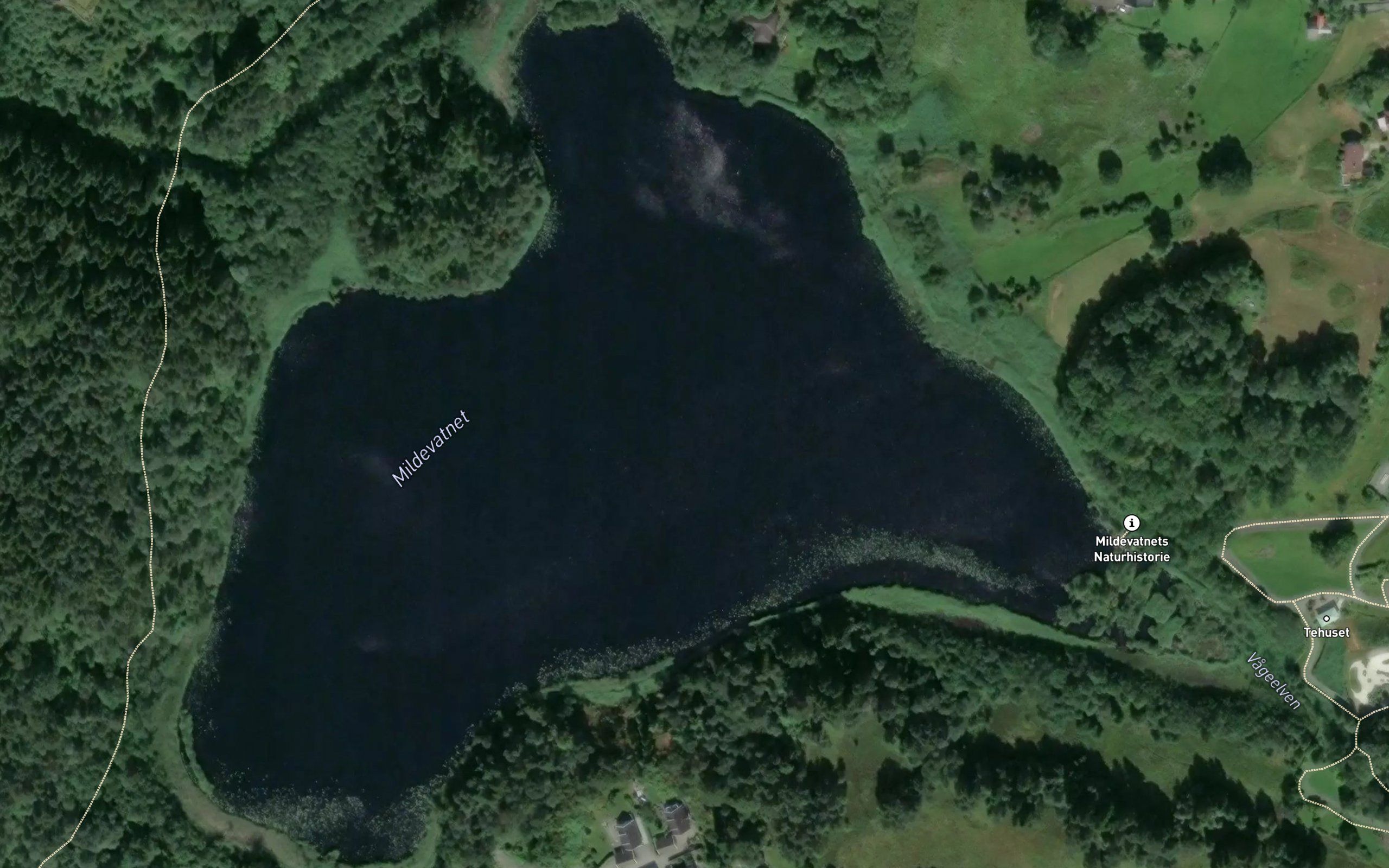 Mildevatnet