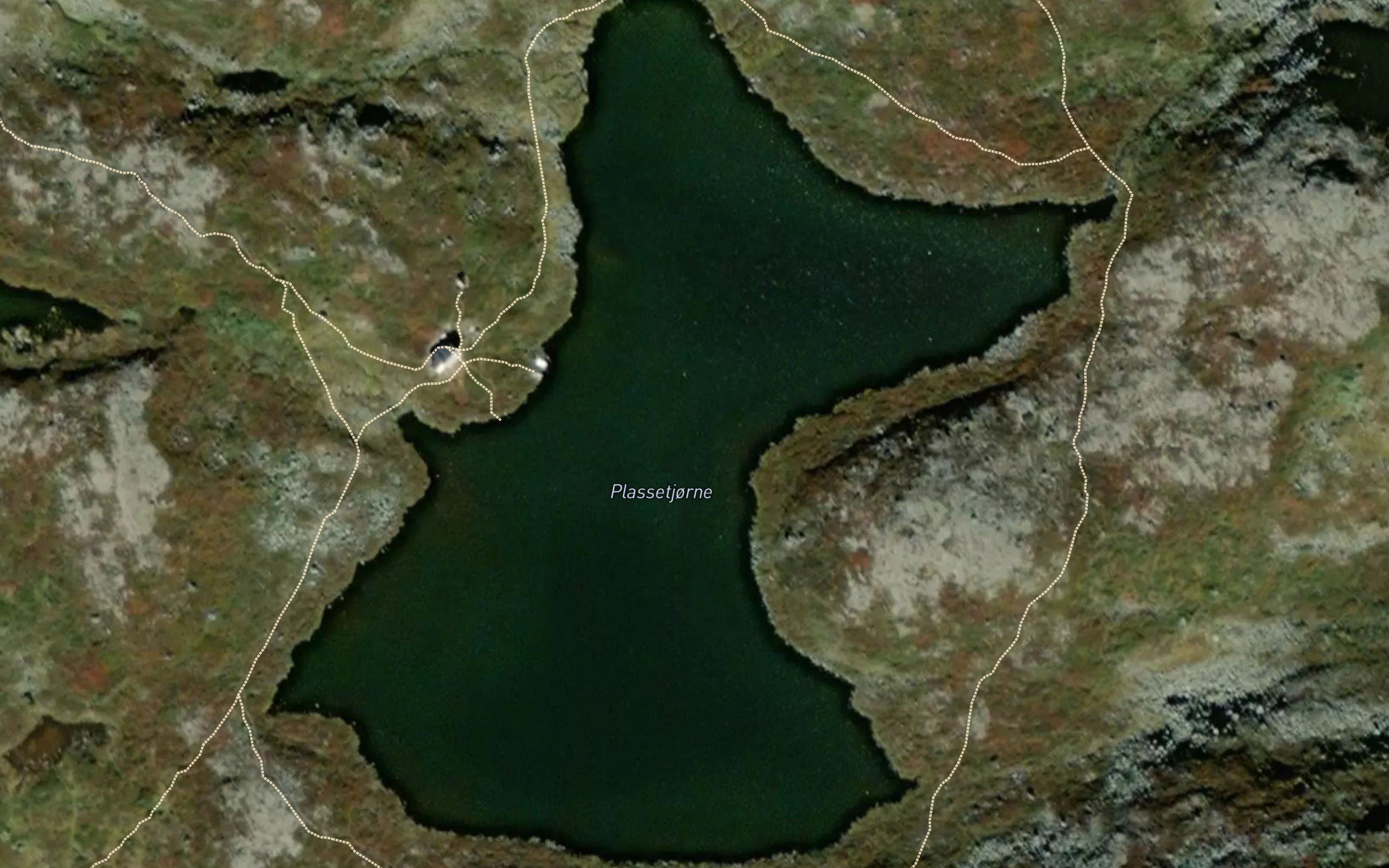 Plassentjodn