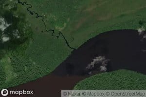 Igarape Tamandua