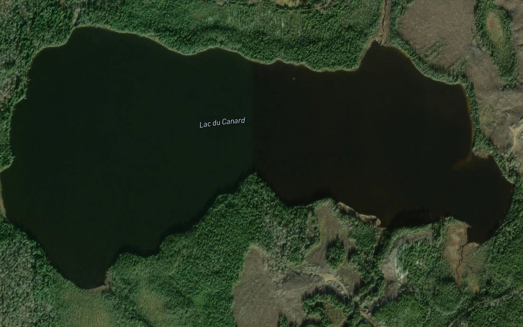 Satellite map of the Lac du Canard