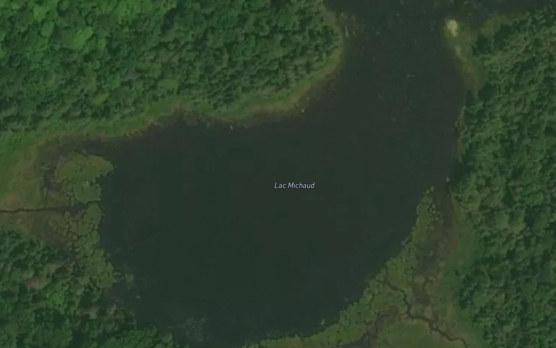 Satellite map of the Lac Michaud