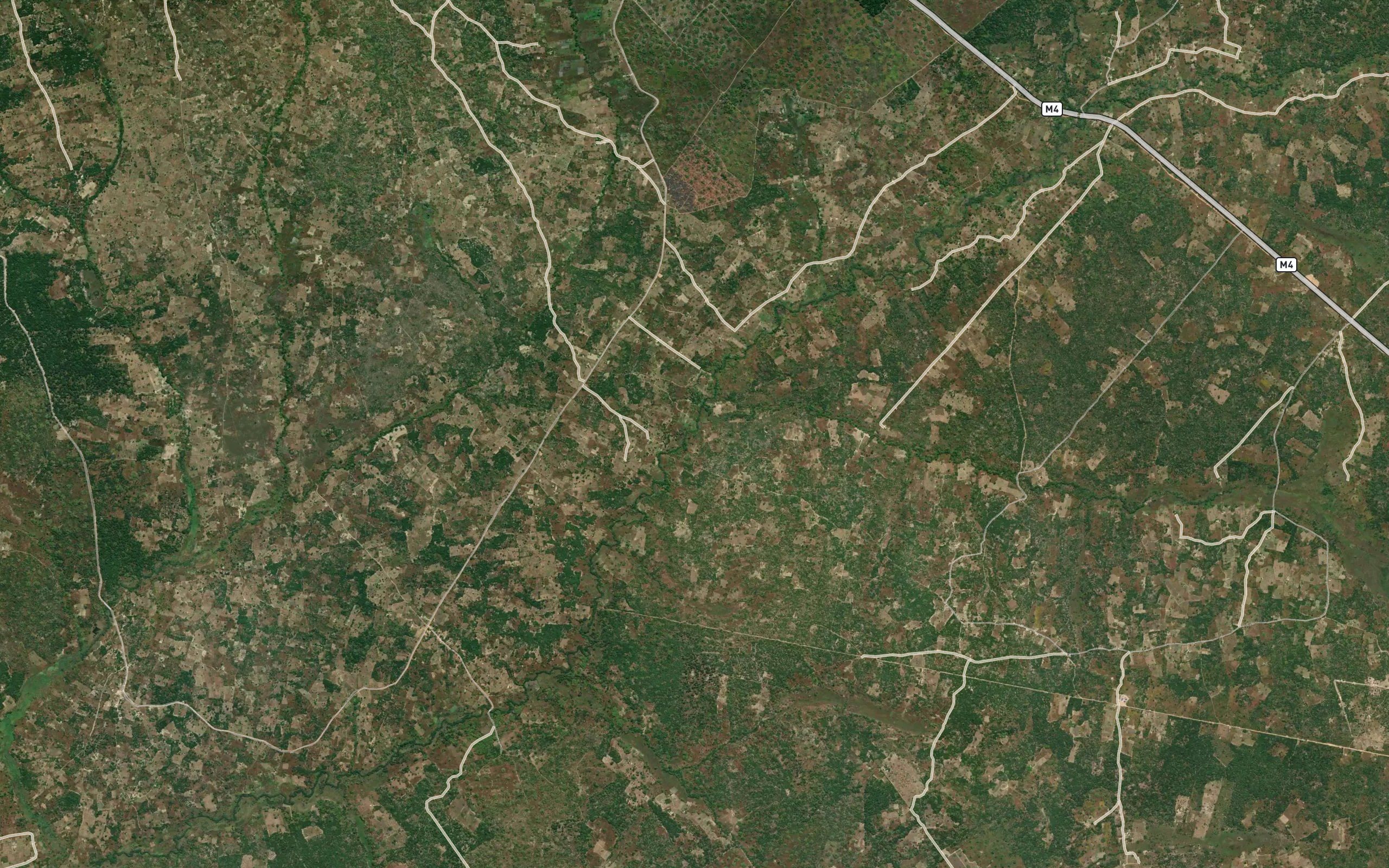 Kasalya