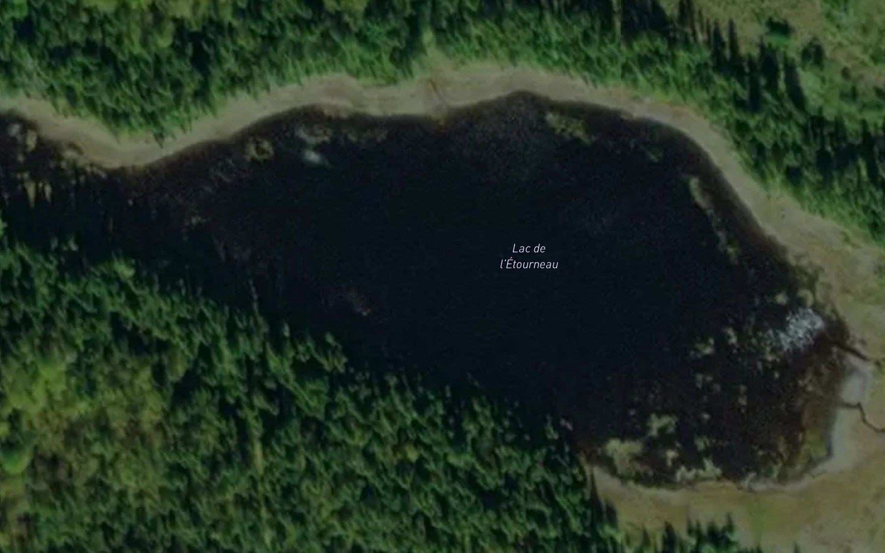 Satellite map of the Lac de l'Etourneau