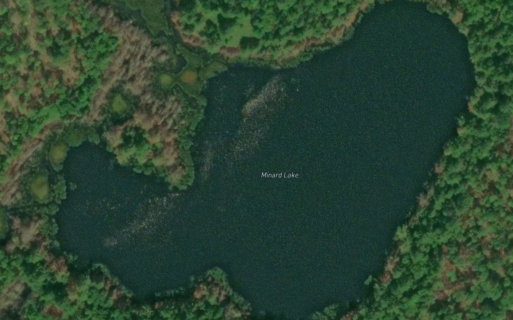 Satellite map of the Minard Lake