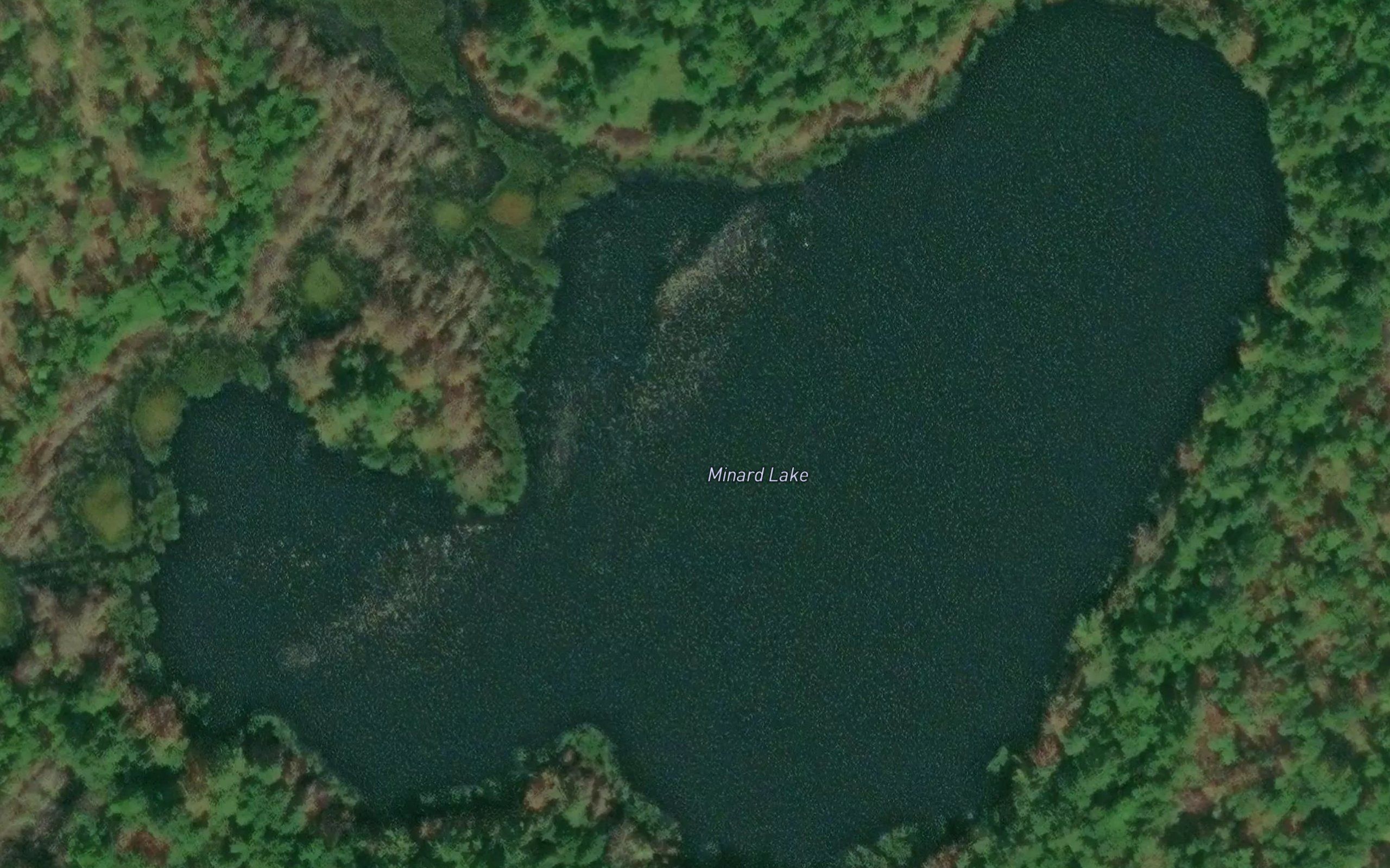 Minard Lake