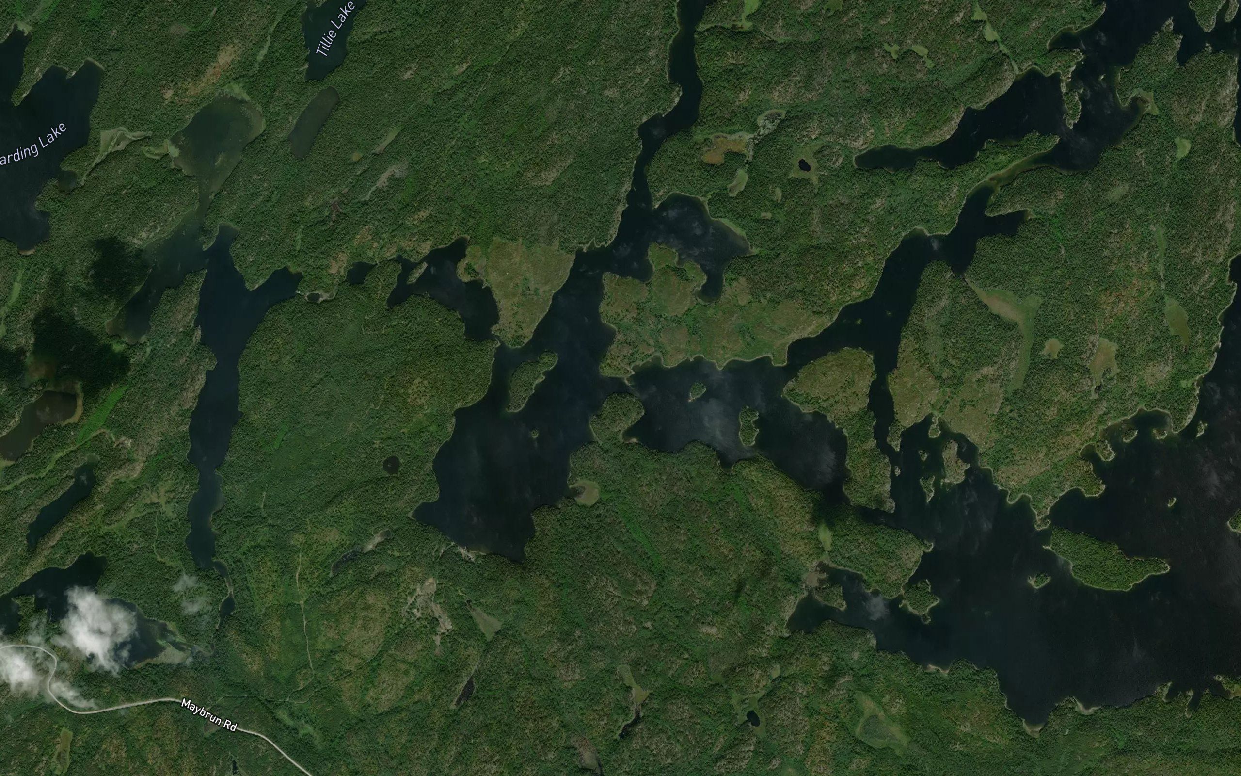 Head Bay