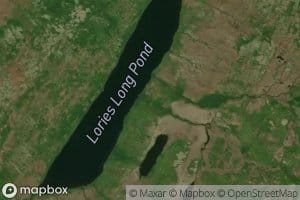Lories Long Pond