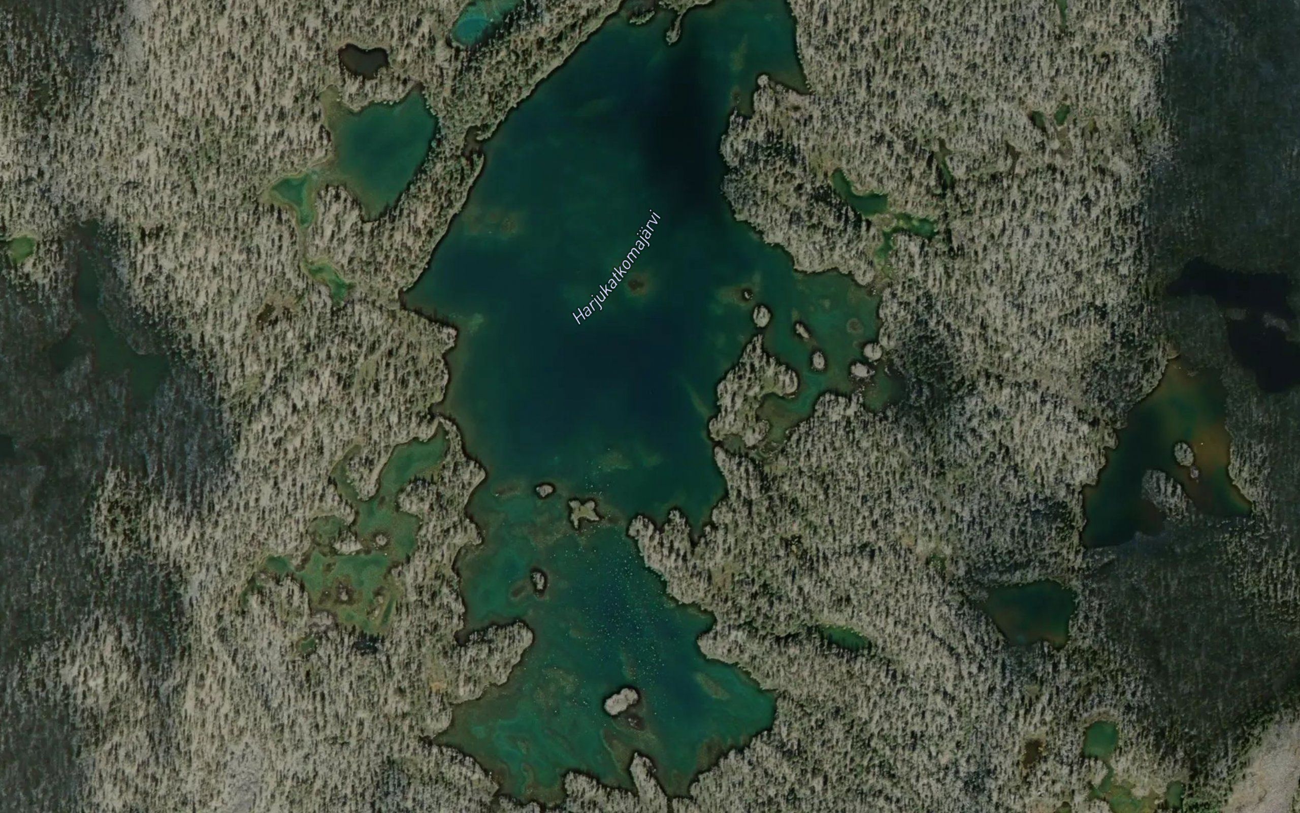 Viorrpuatkamjau'rr