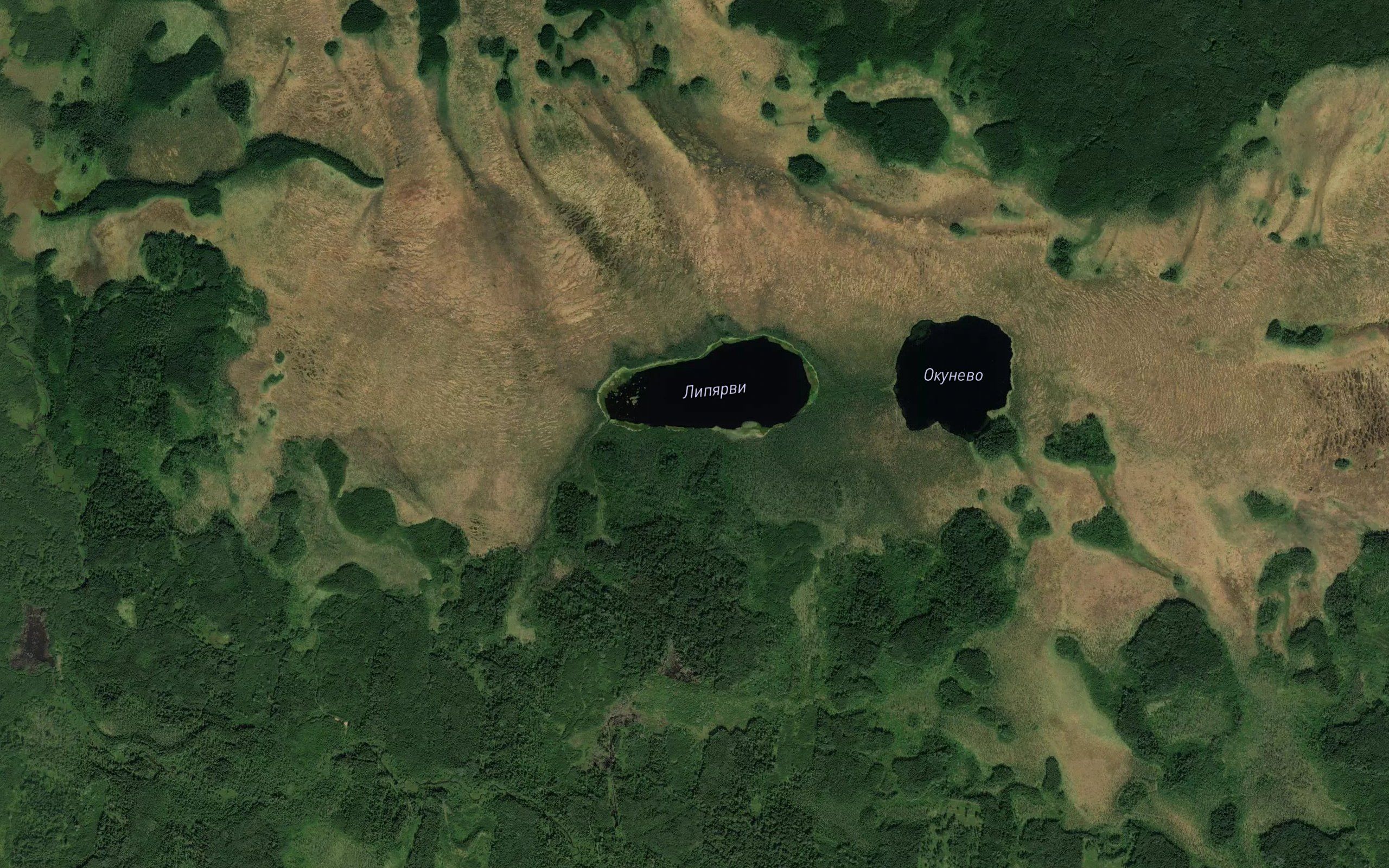 Ozero Lipyarvi