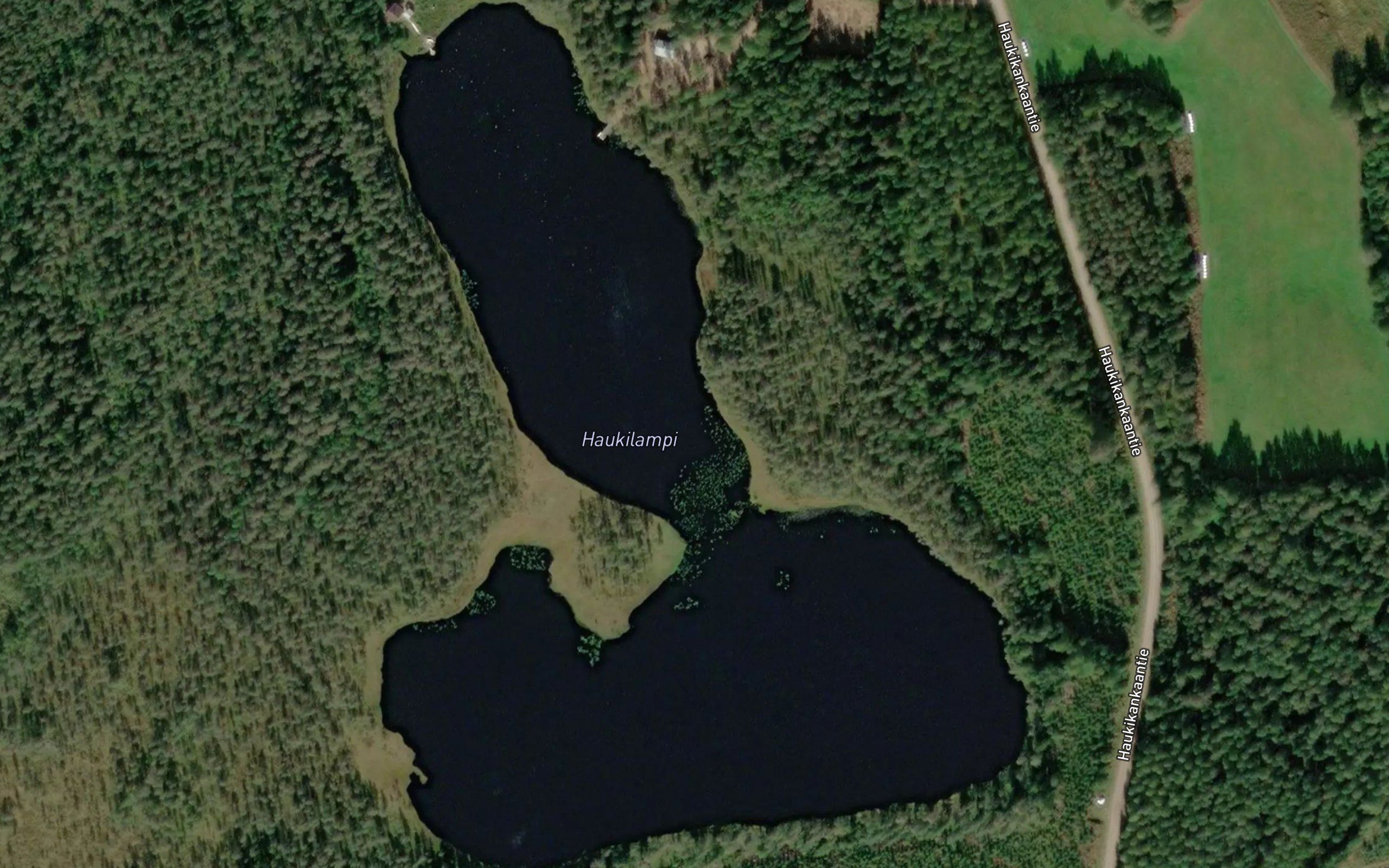 Haukilampi