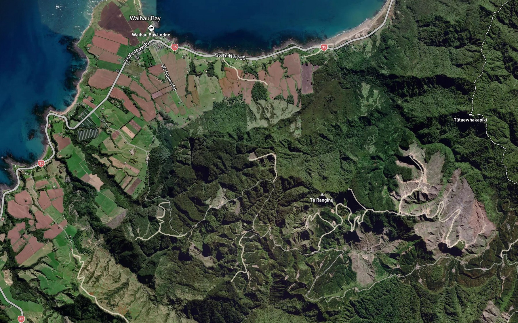 Satellite map of the Mangawhero Stream