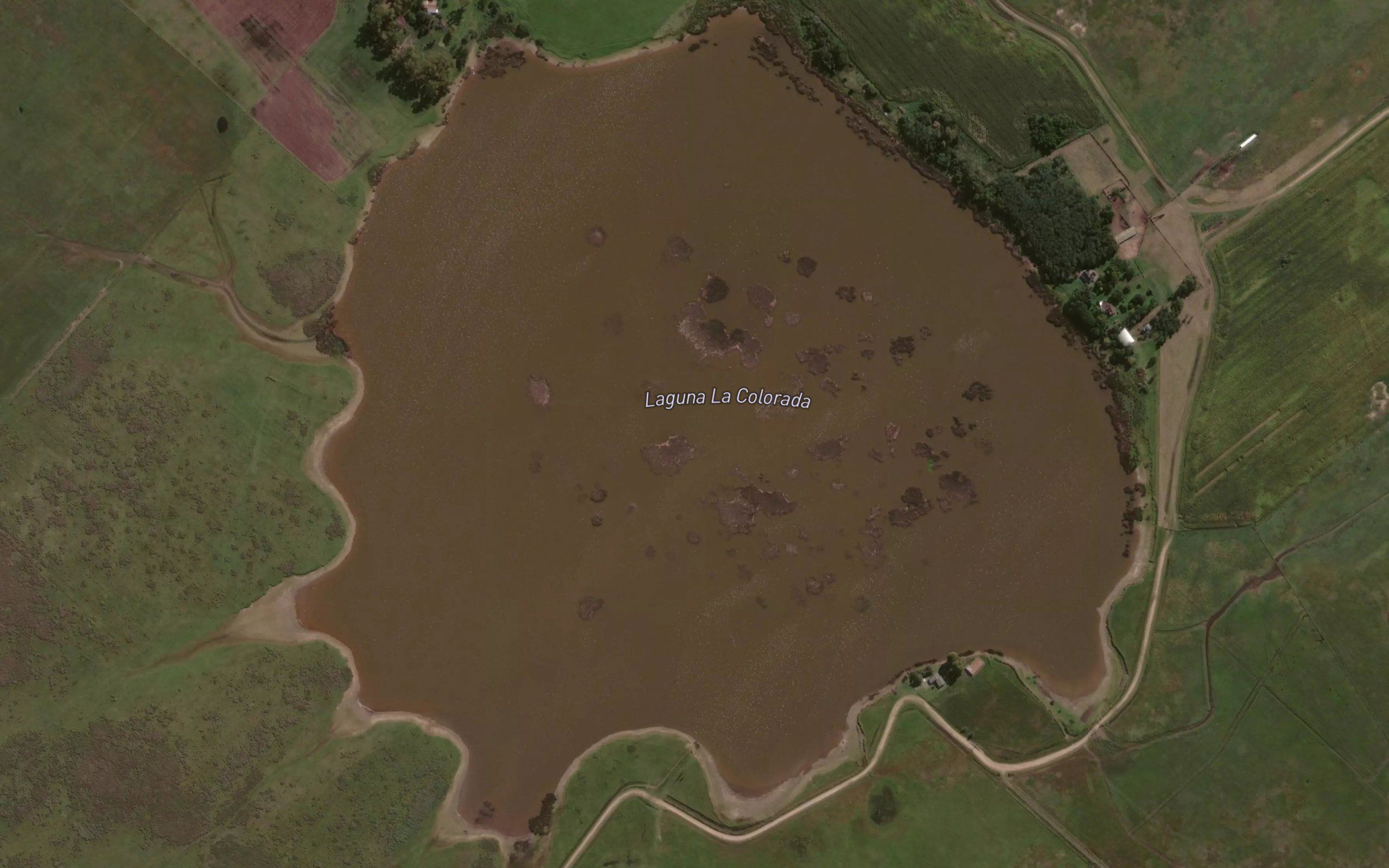Laguna La Colorada