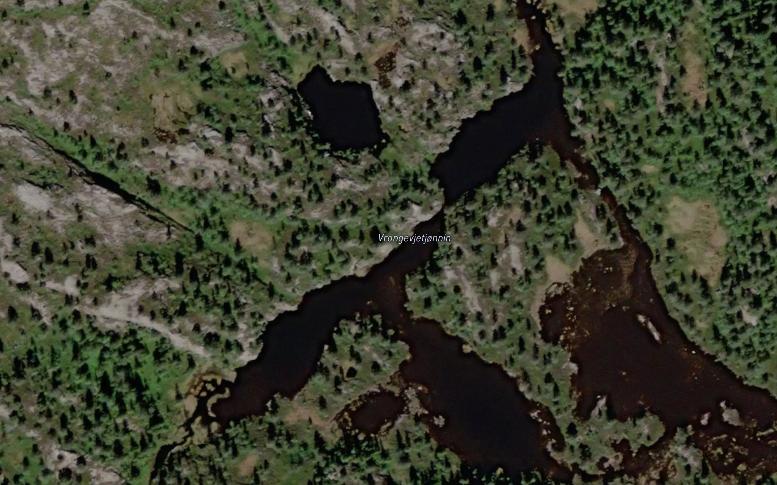 Grasdalstjornin