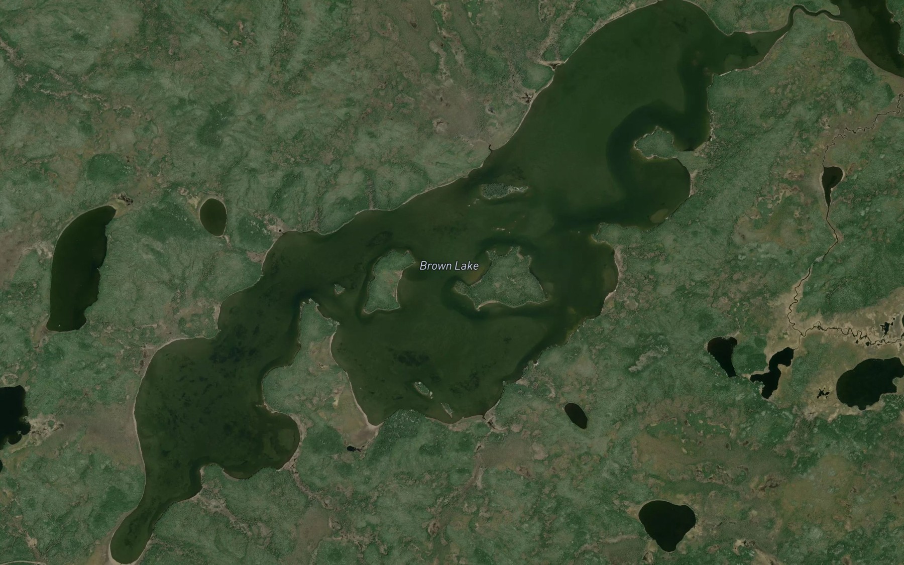 Satellite map of the Brown Lake
