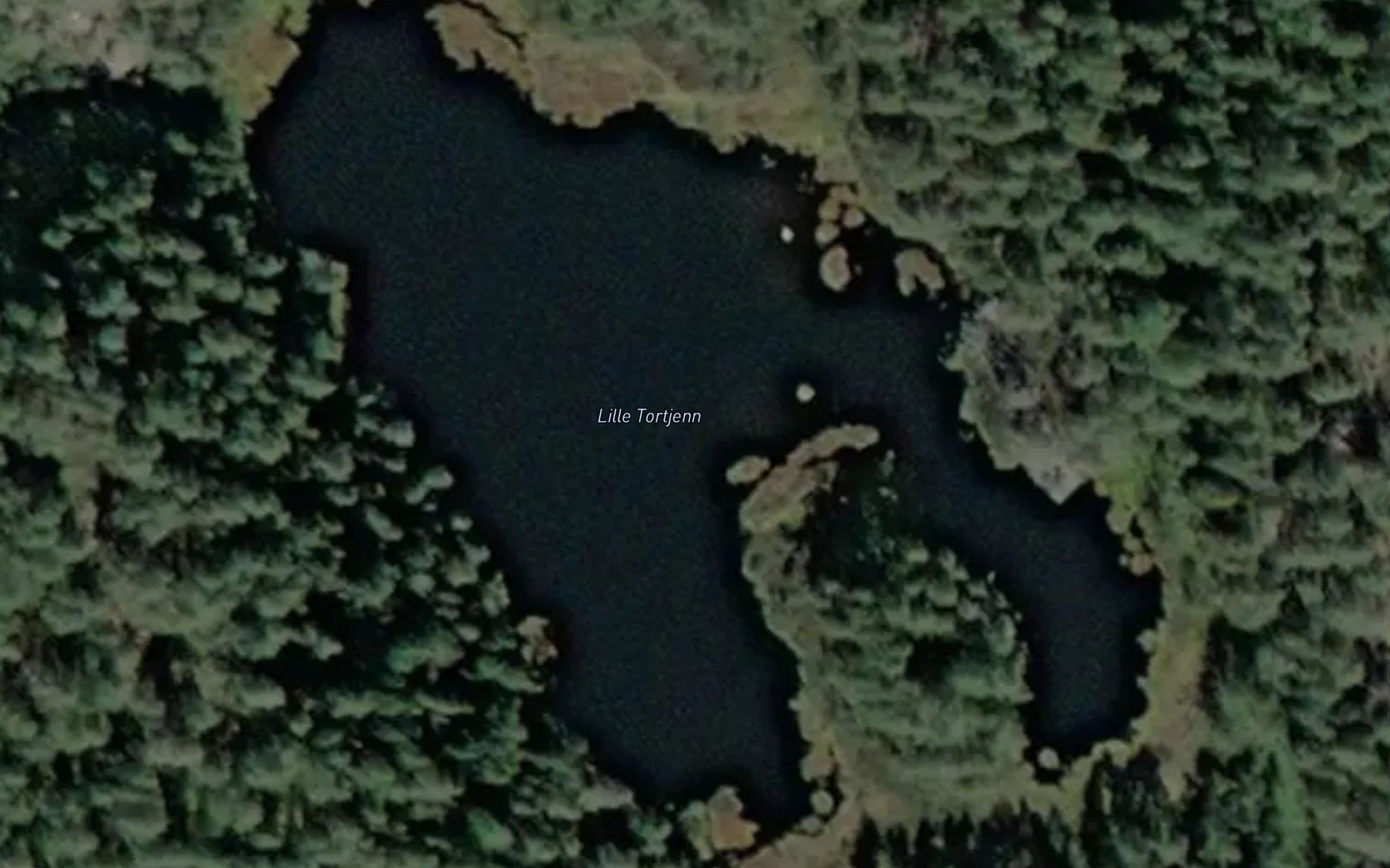 Lille Tortjenn