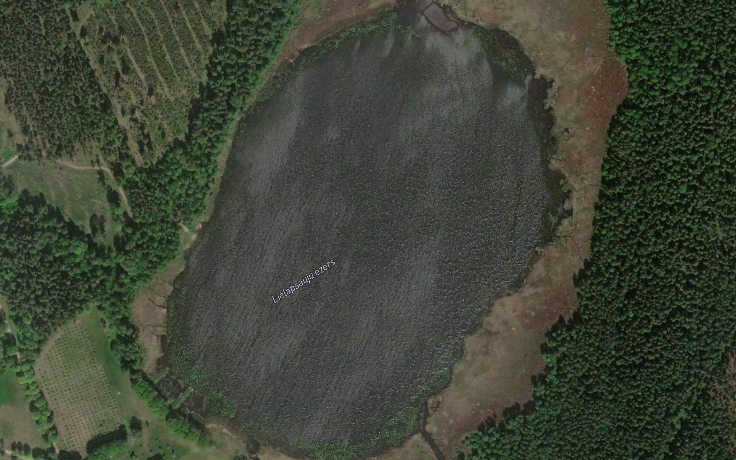 Lielapsauju Ezers