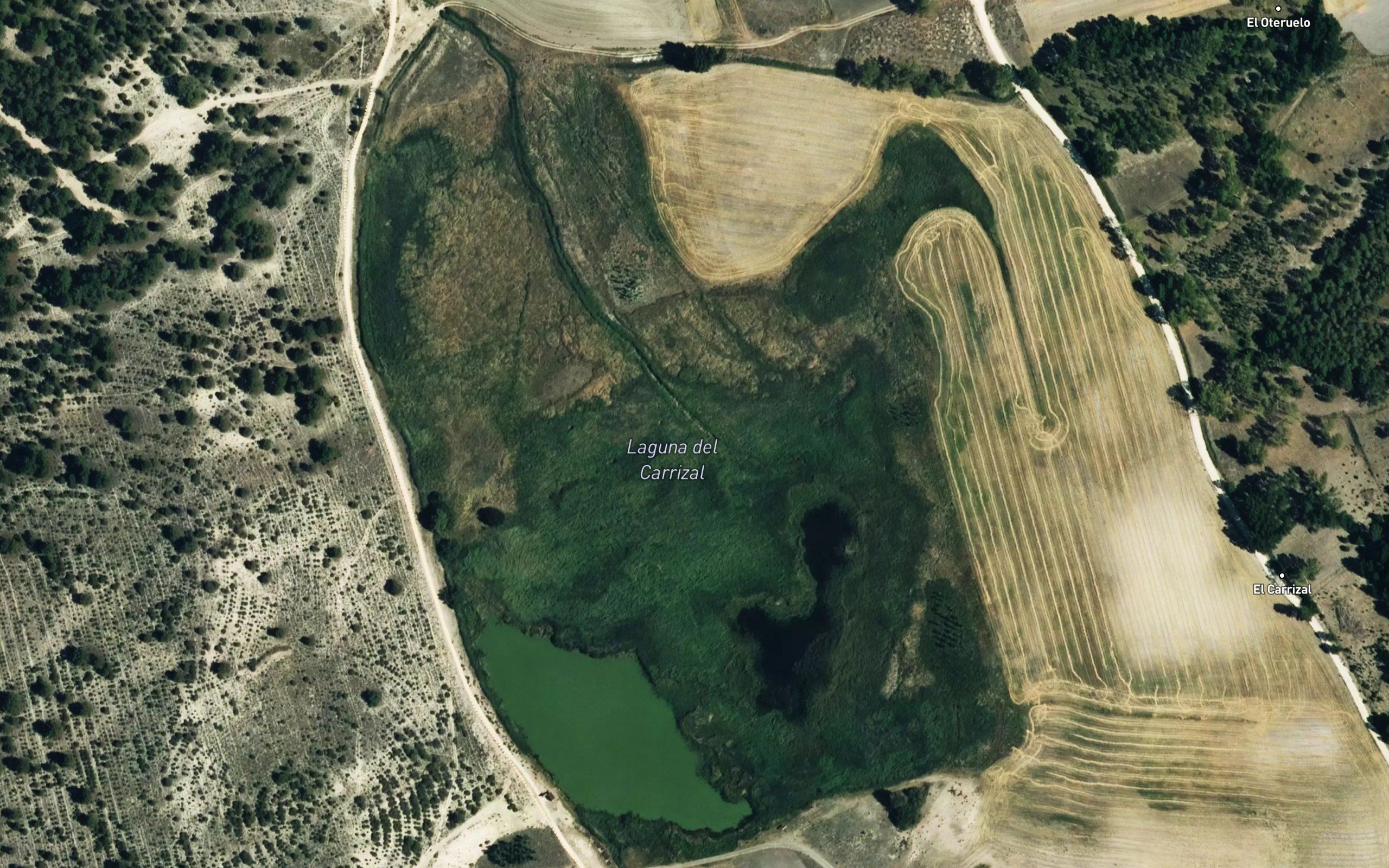Laguna del Carrizal