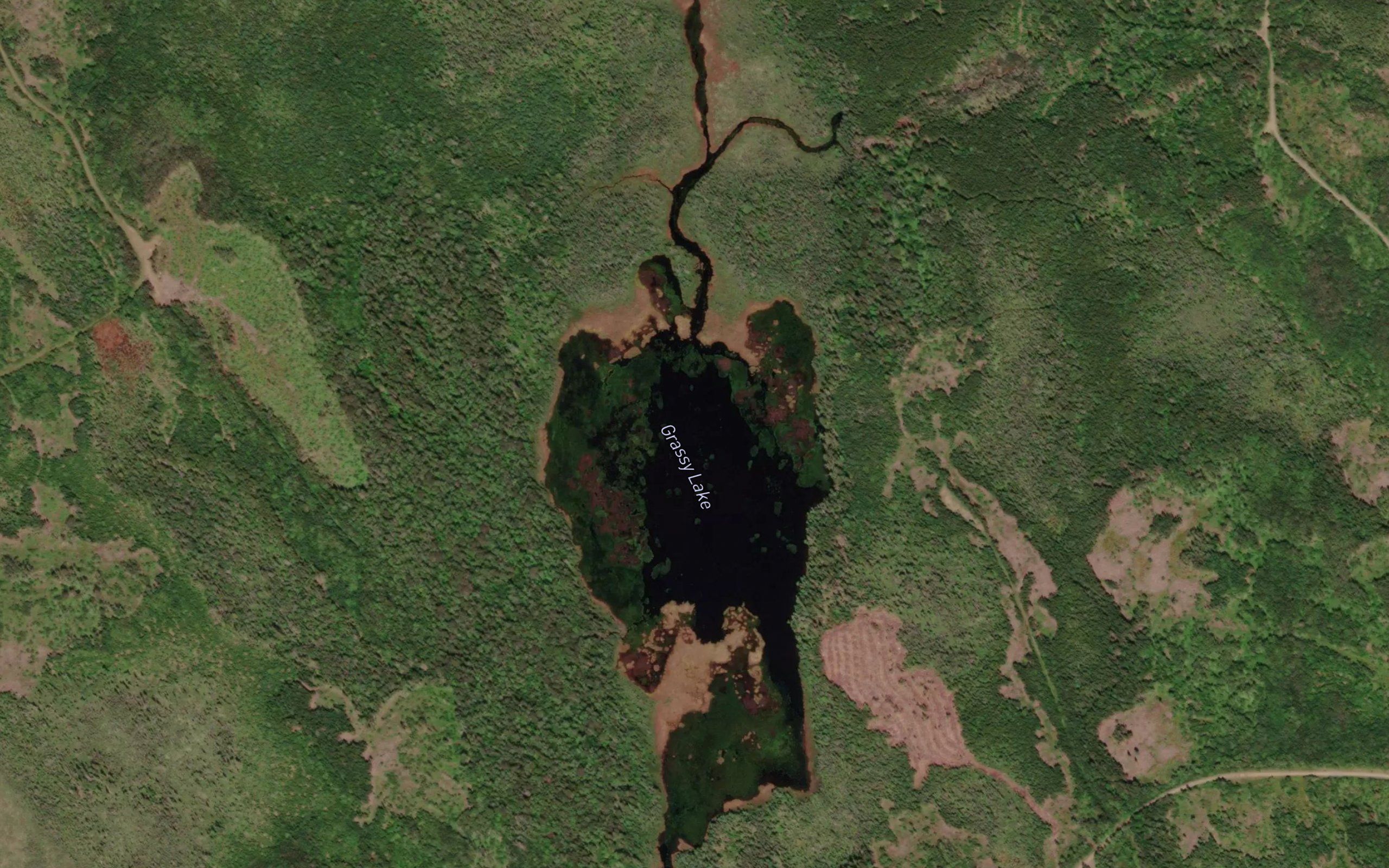 Grassy Lake