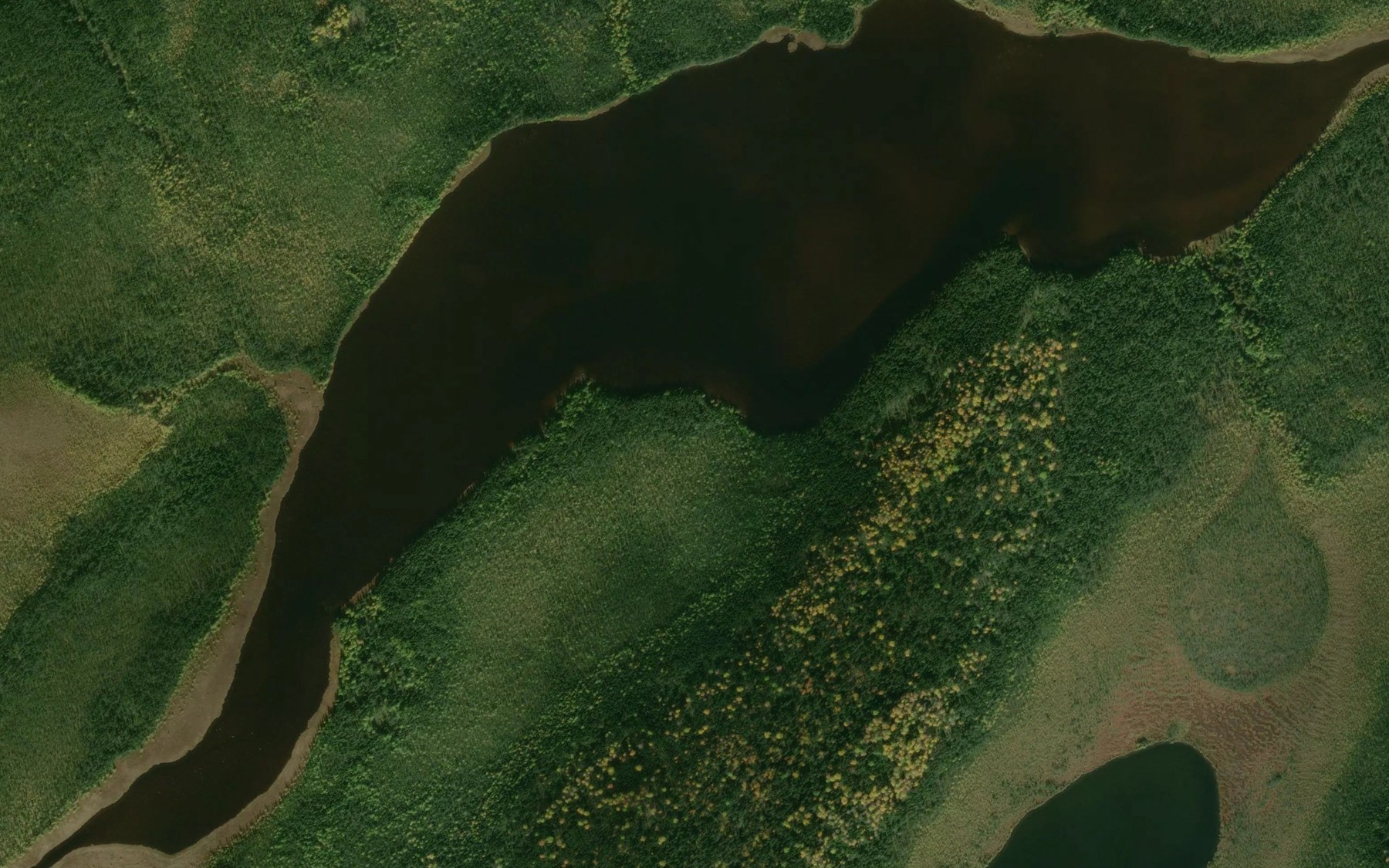 Satellite map of the Woodstock Lake