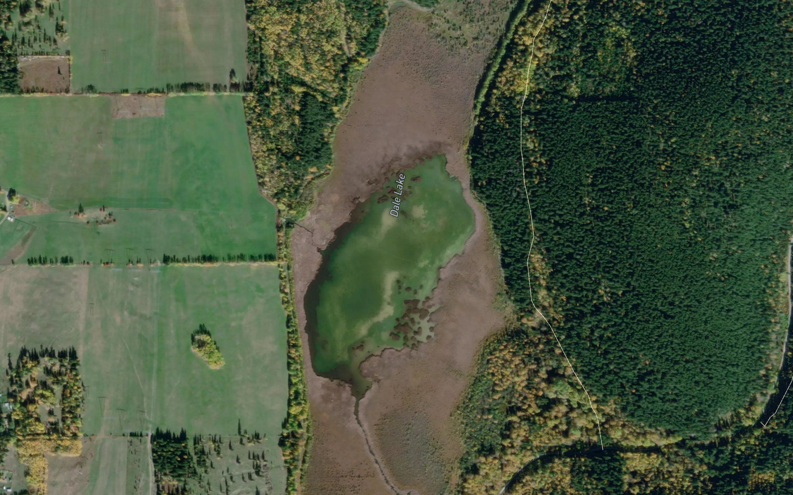 Dale Lake