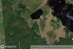 Skalbackasjon