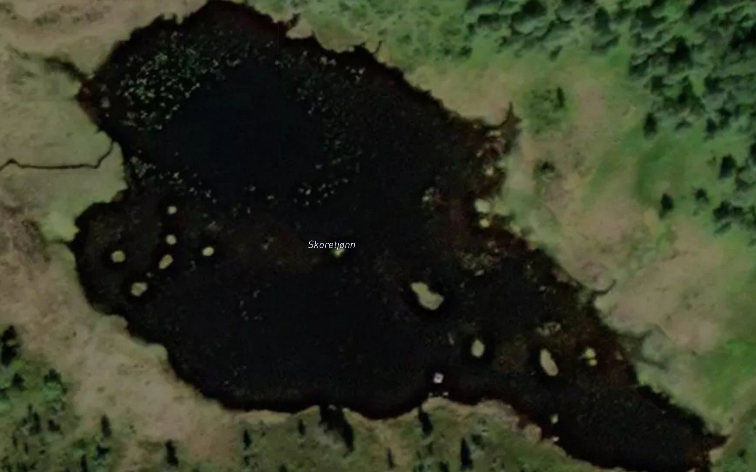 Skaretjorni