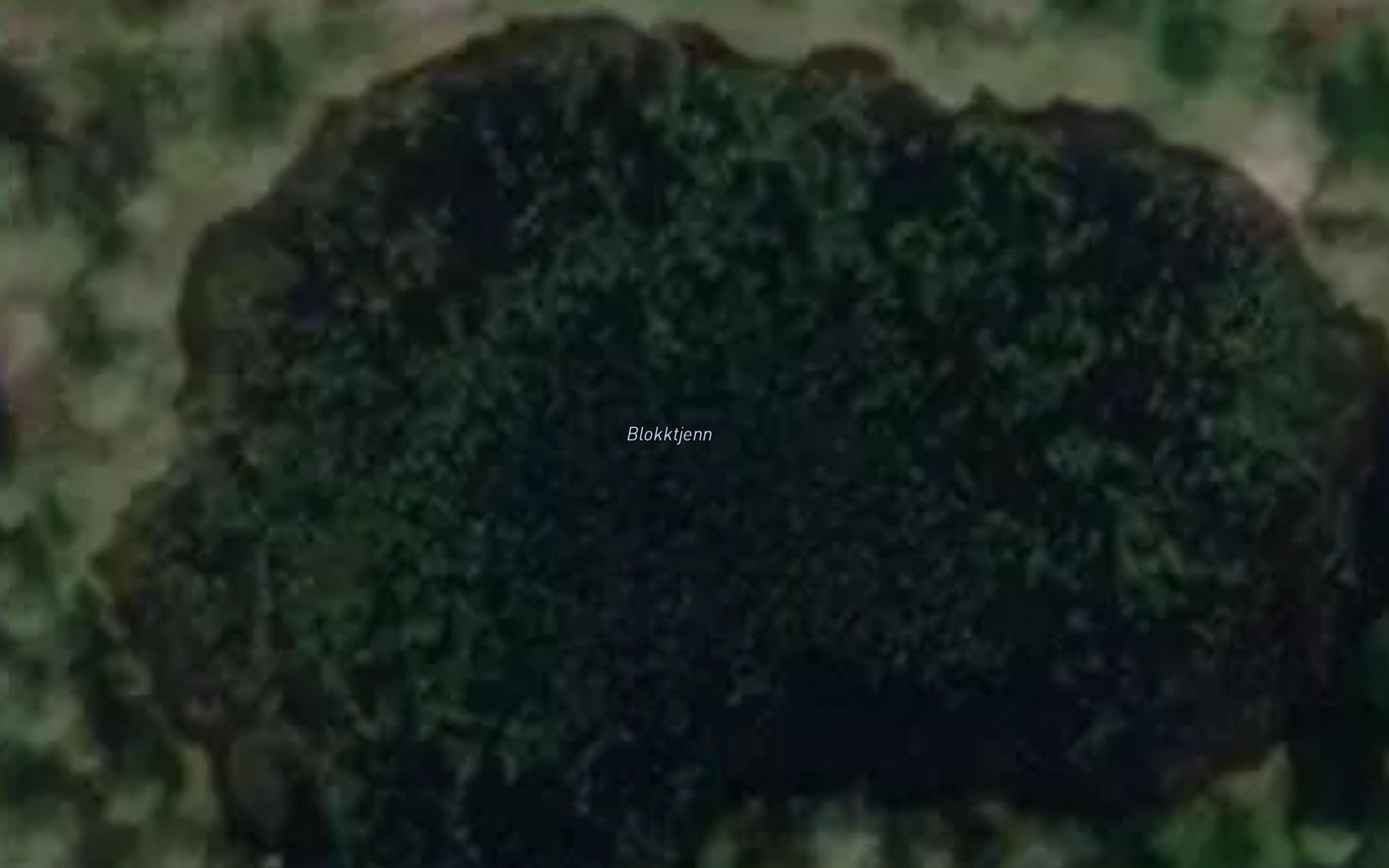 Blokktjenn