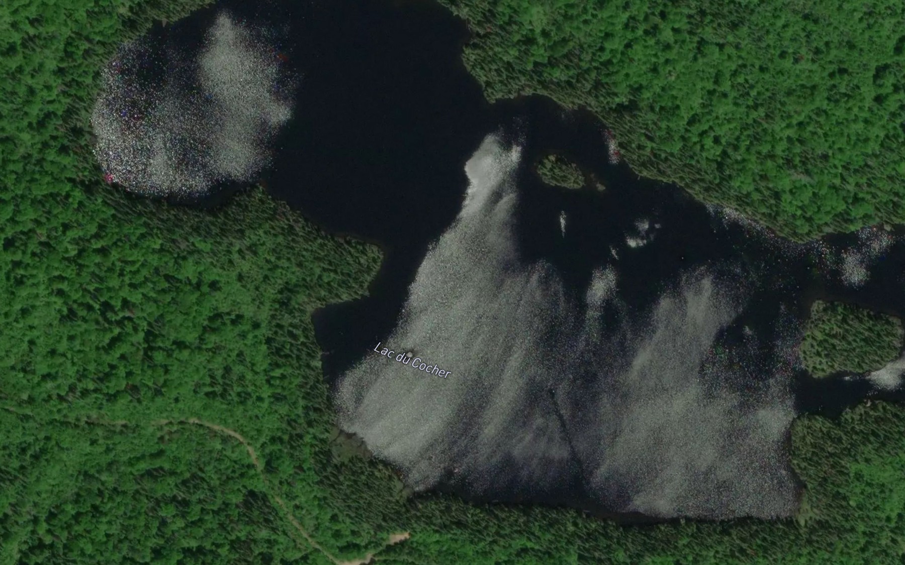 Satellite map of the Lac du Cocher
