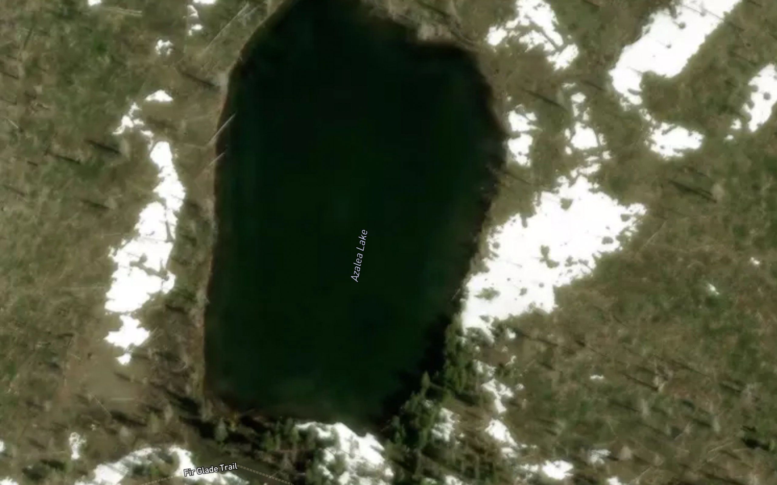Azalea Lake