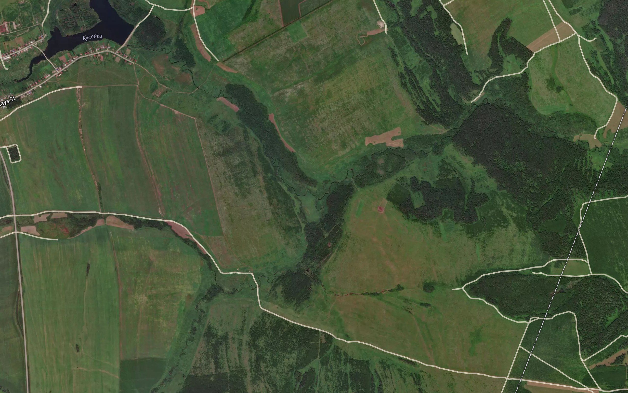 Bryzga