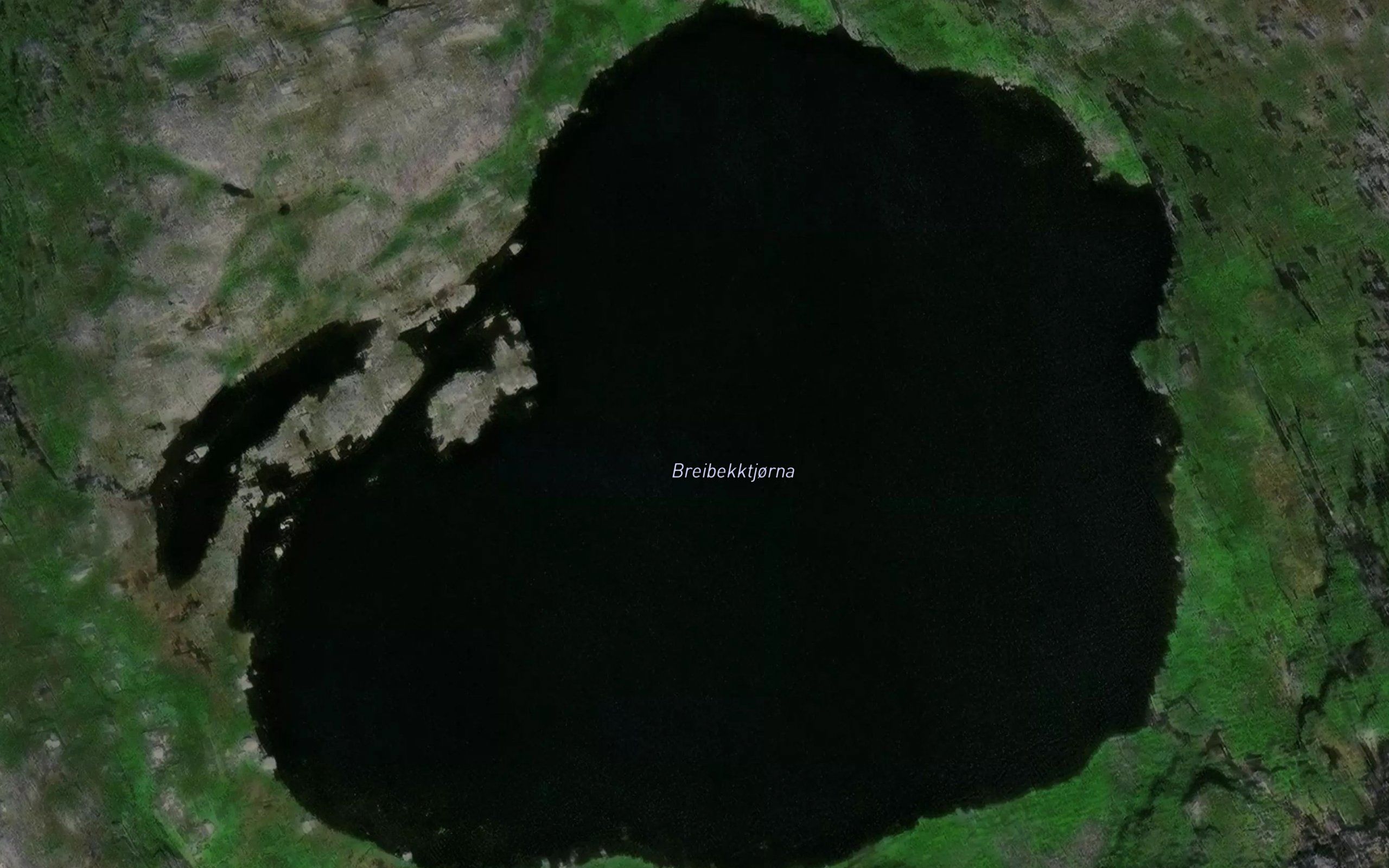 Breidbekktjorna