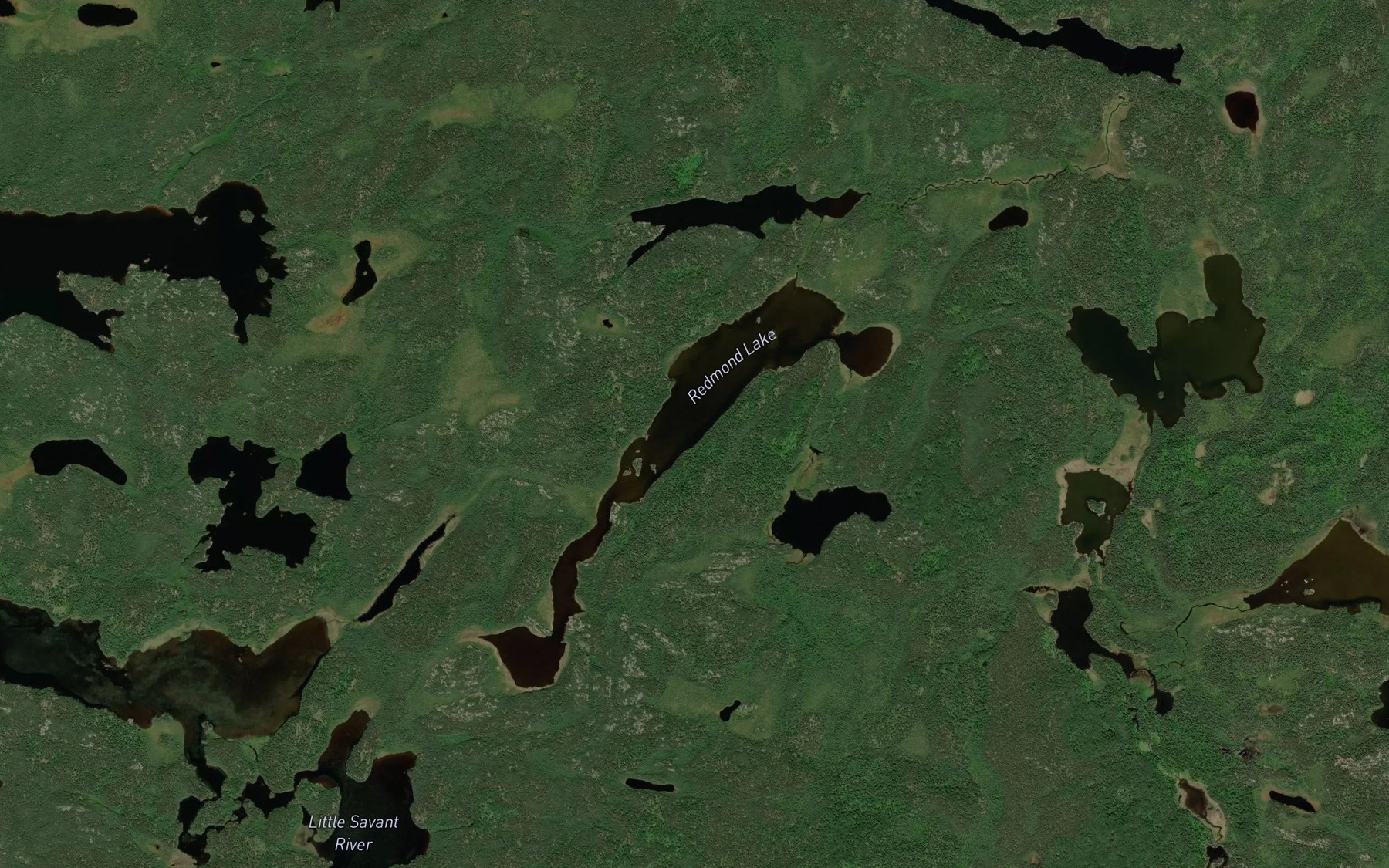 Satellite map of the Redmond Lake