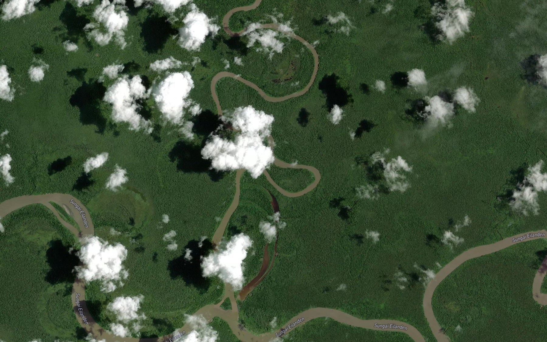 Satellite map of the Sungai Brazza