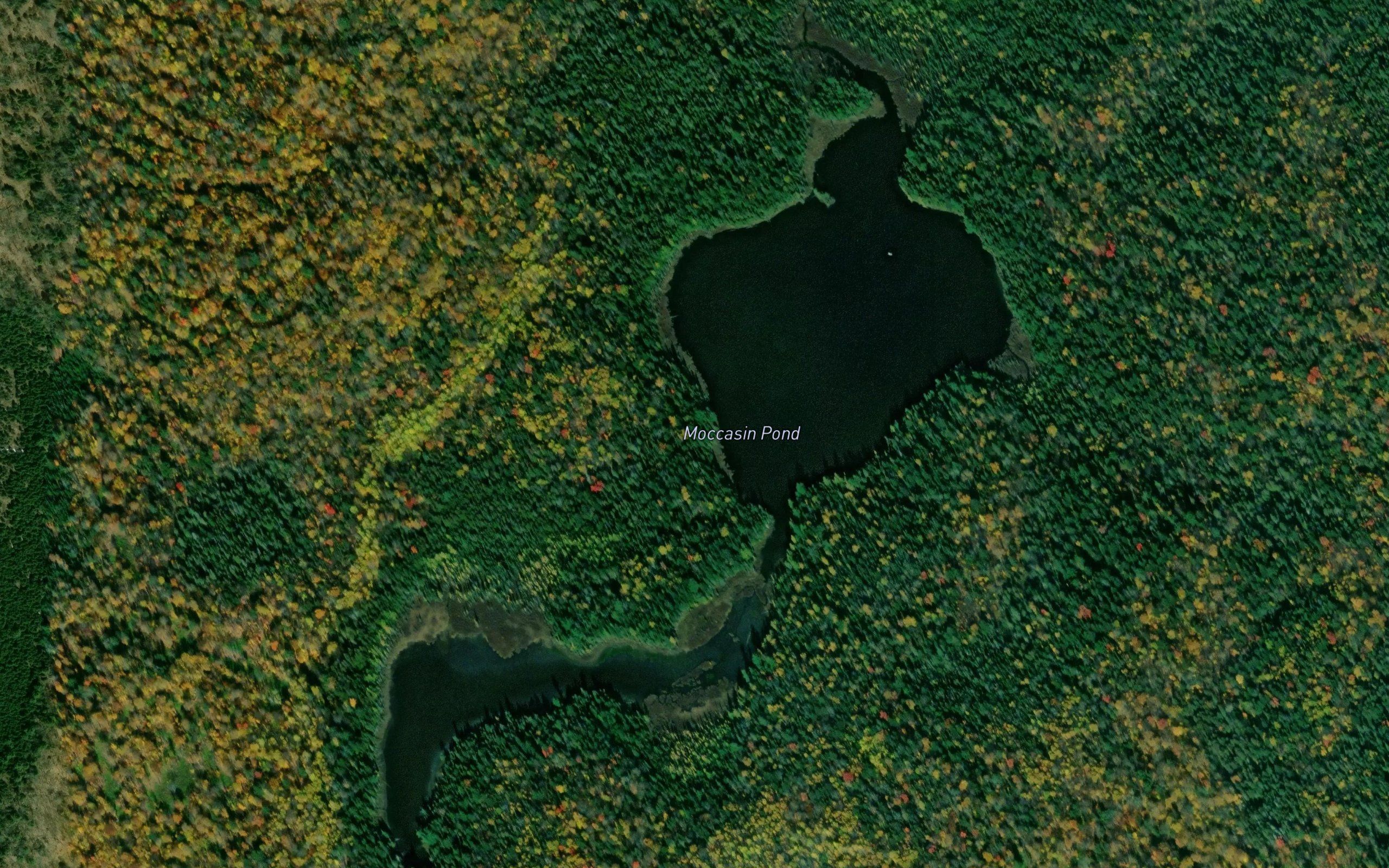 Moccasin Pond