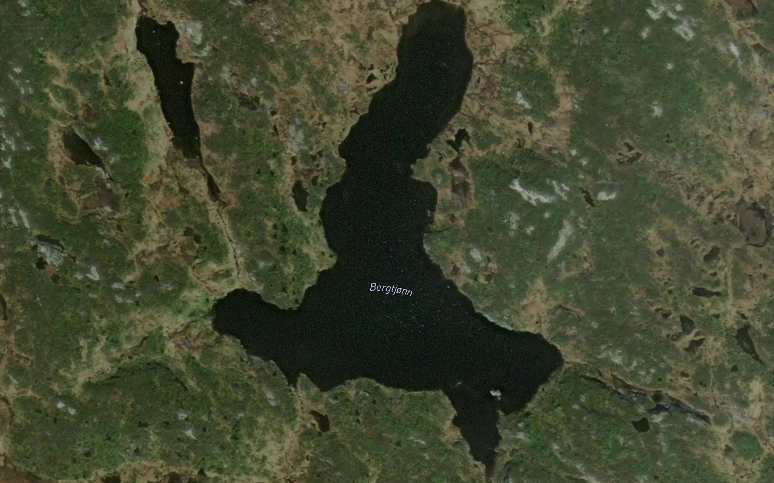 Bergtjorn