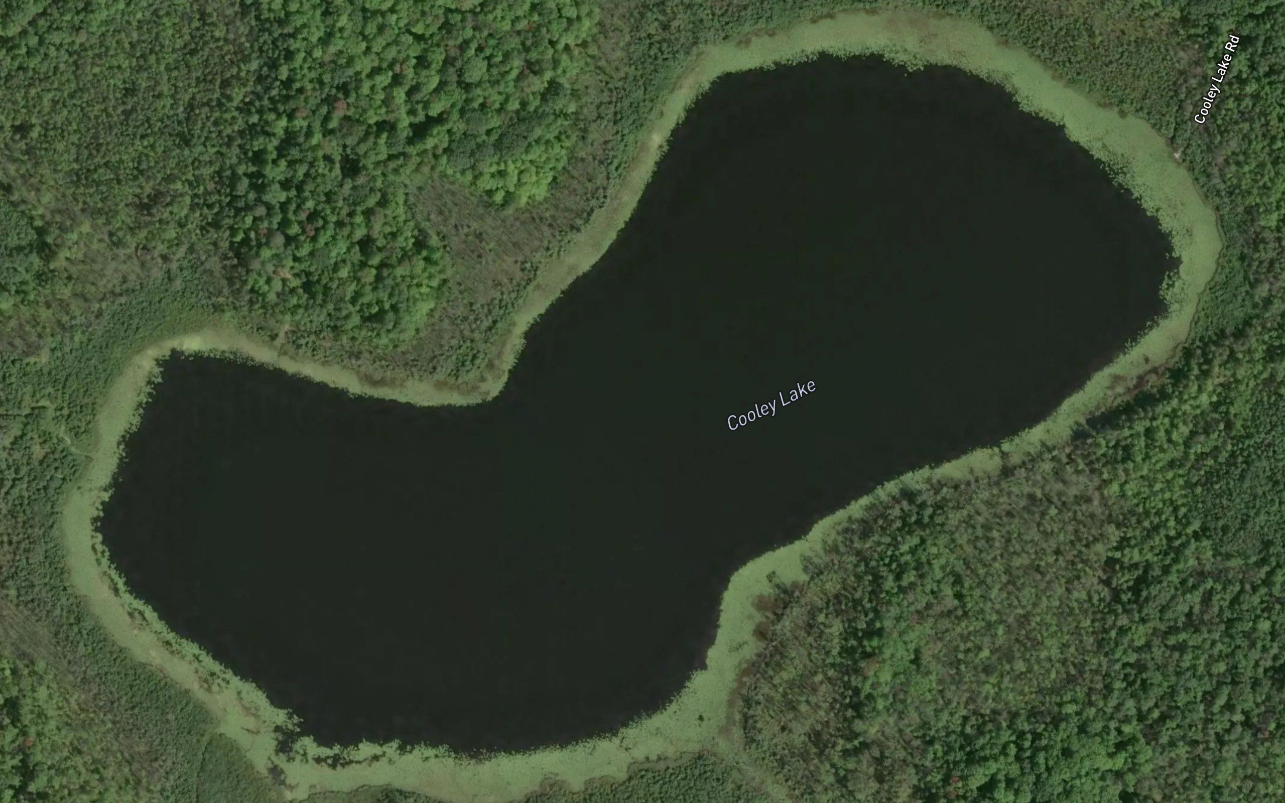 Cooley Lake