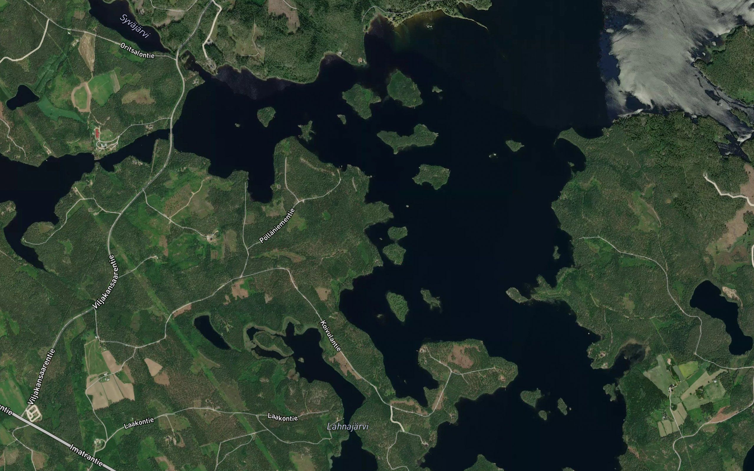 Koivuluhta