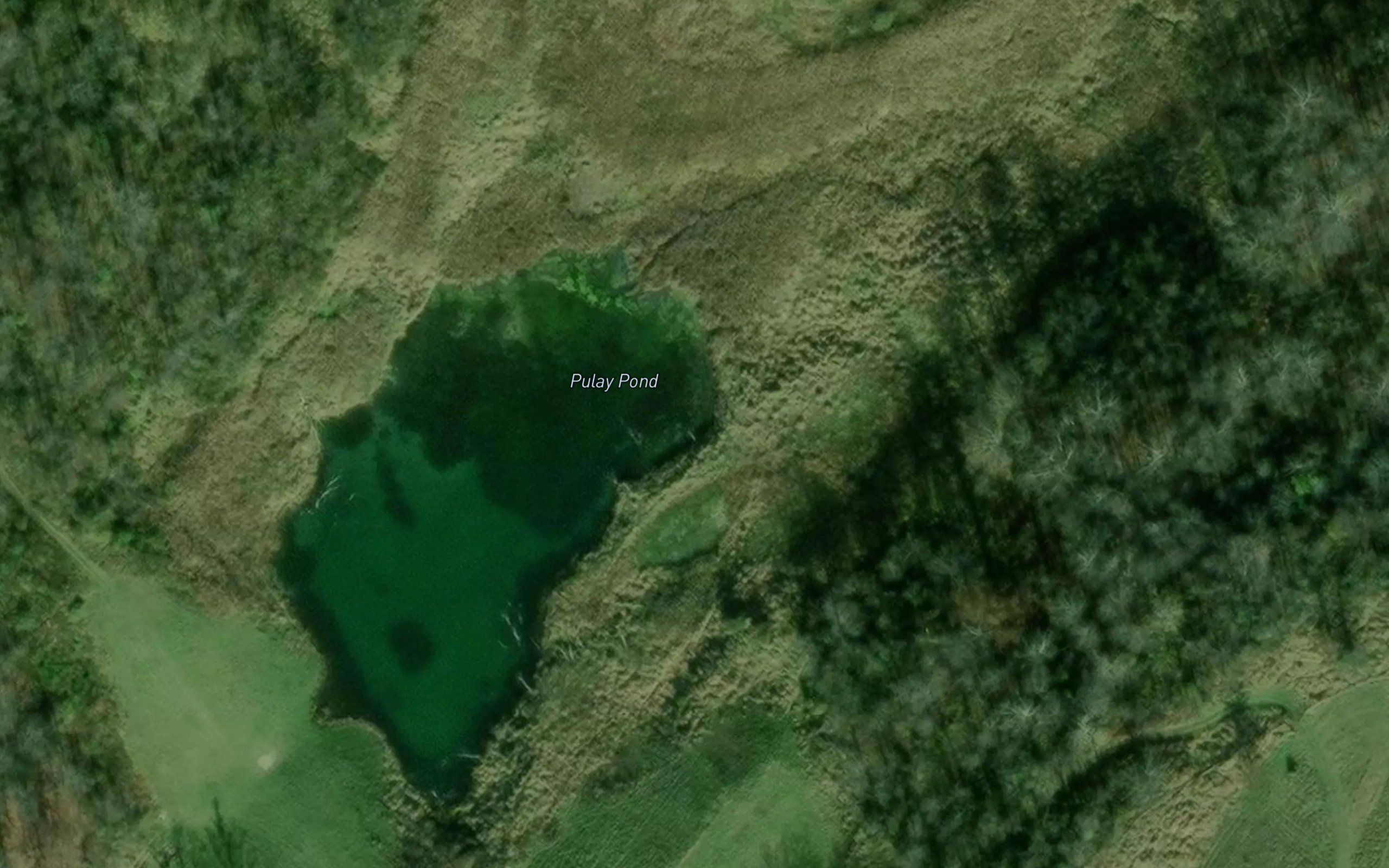 Pulay Pond