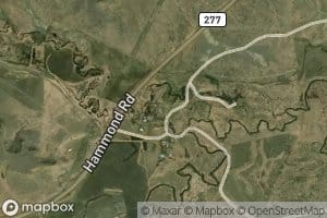 Spring Creek