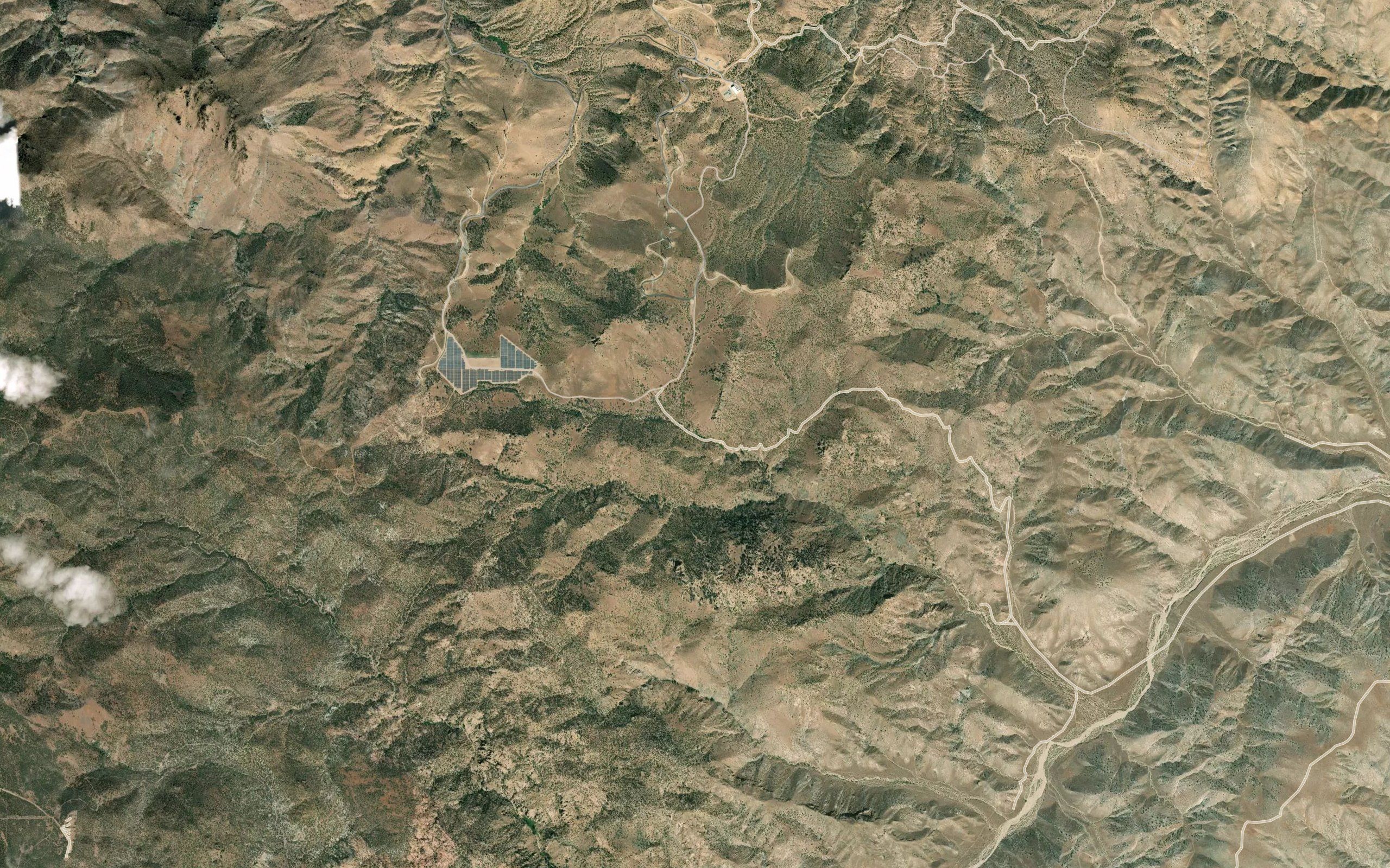 Quail Spring