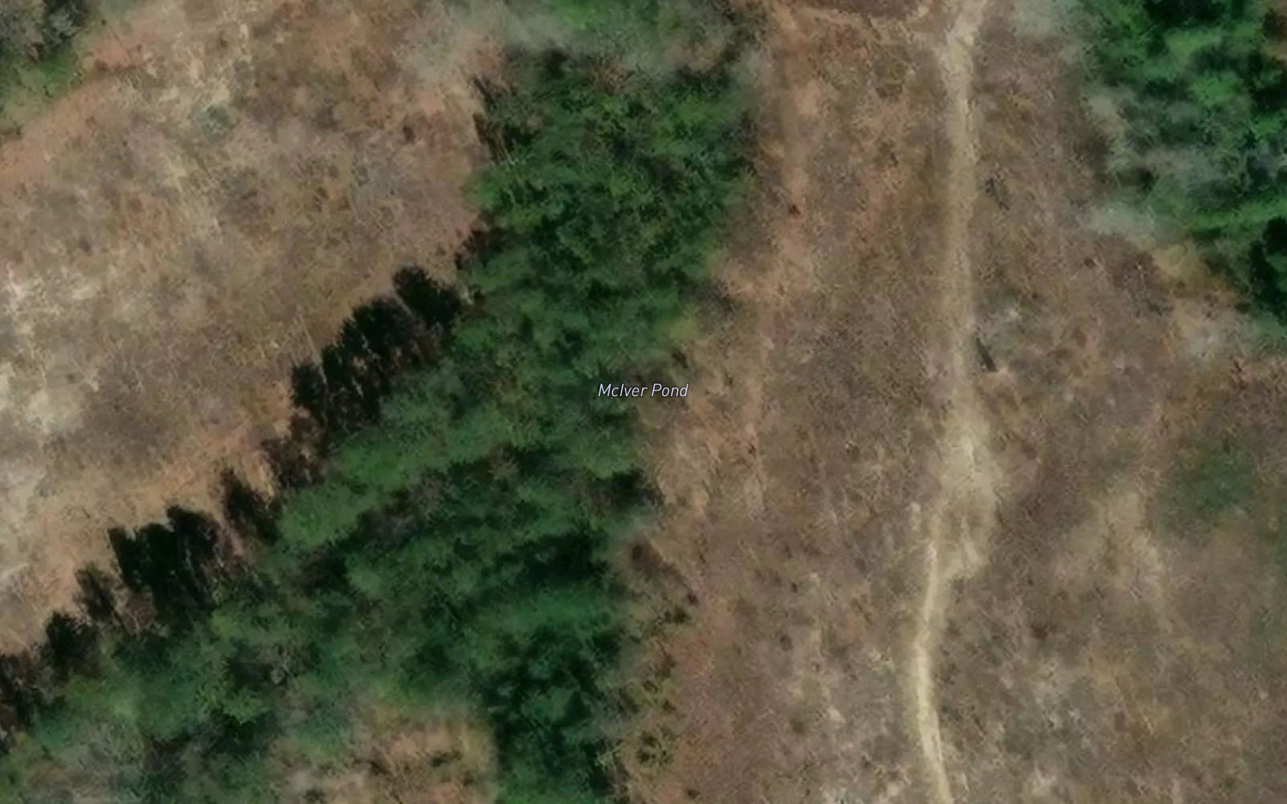 McIver Pond