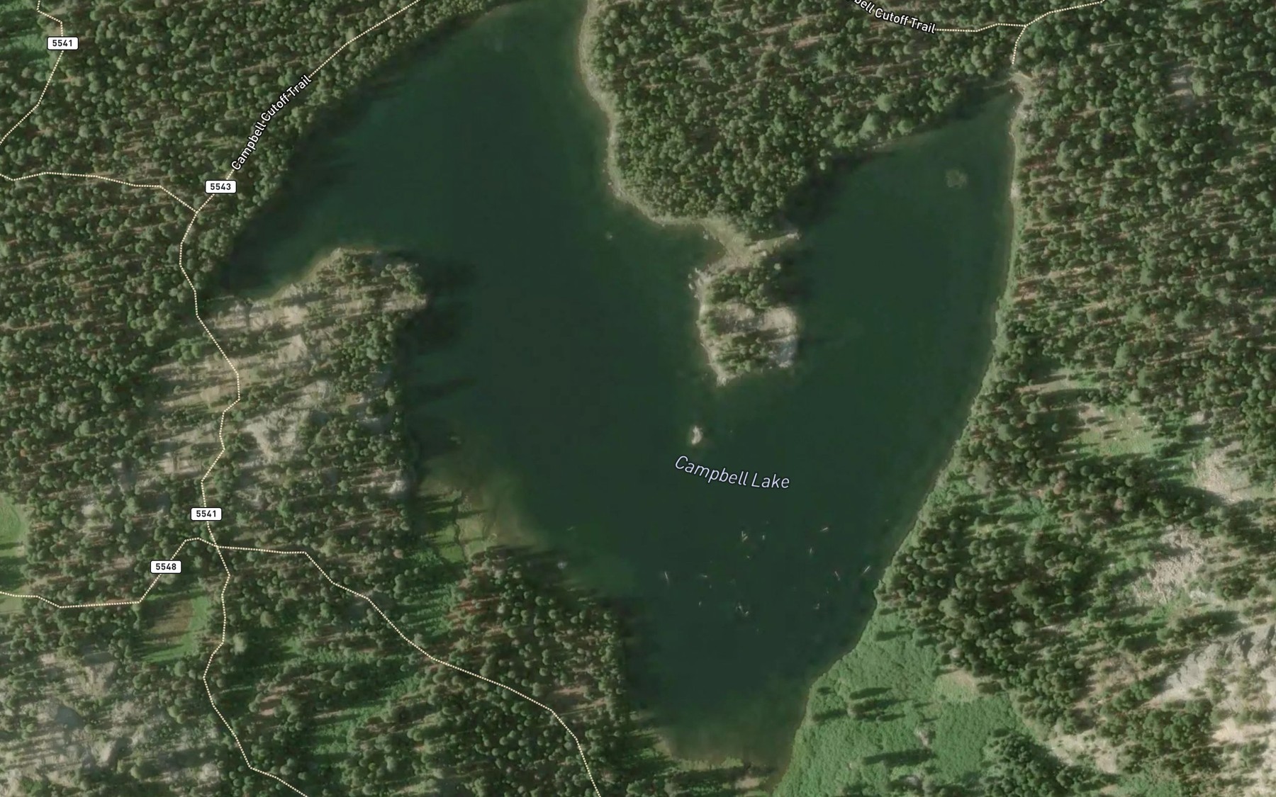 Satellite map of the Campbell Lake