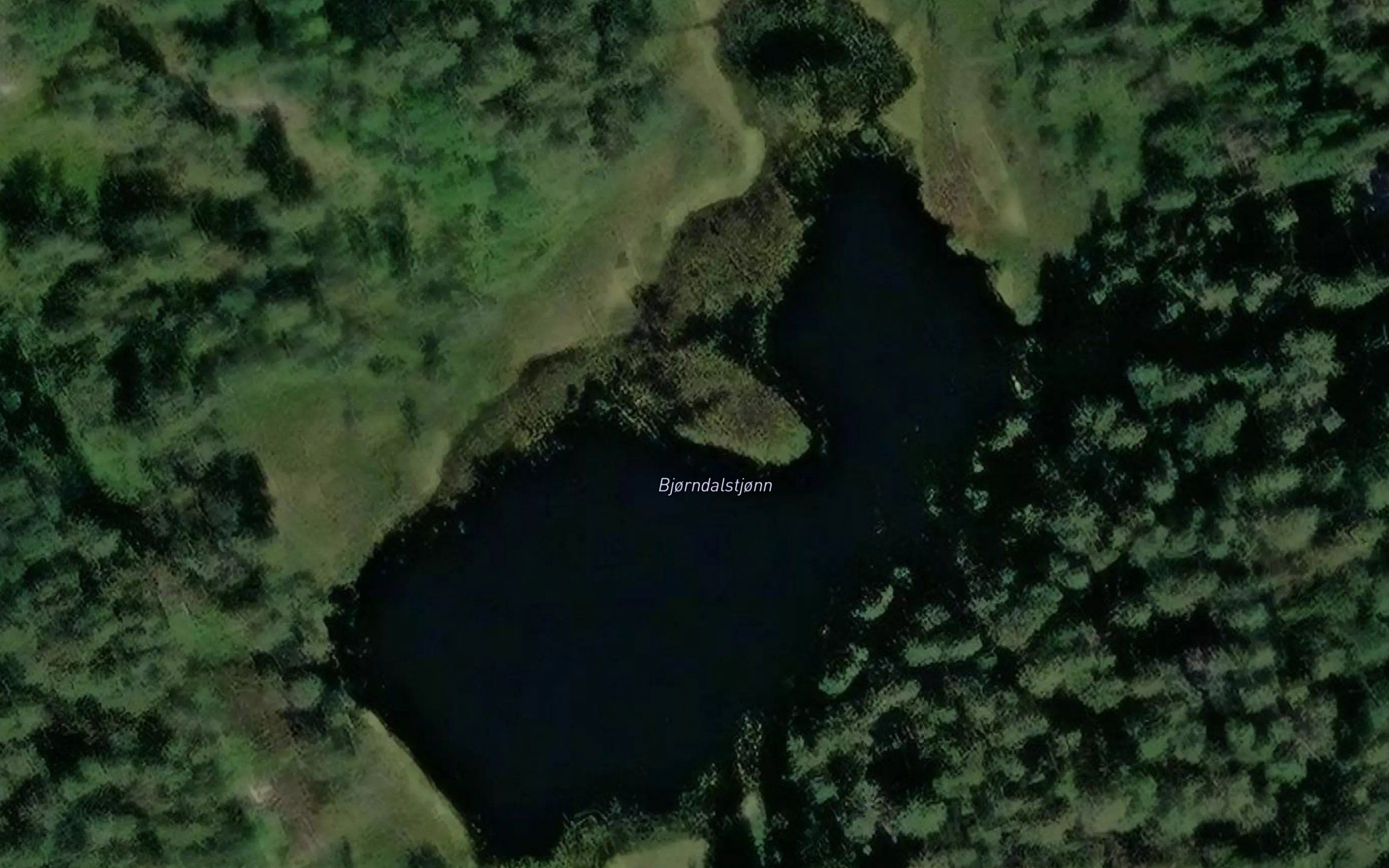 Bjorndalstjonn